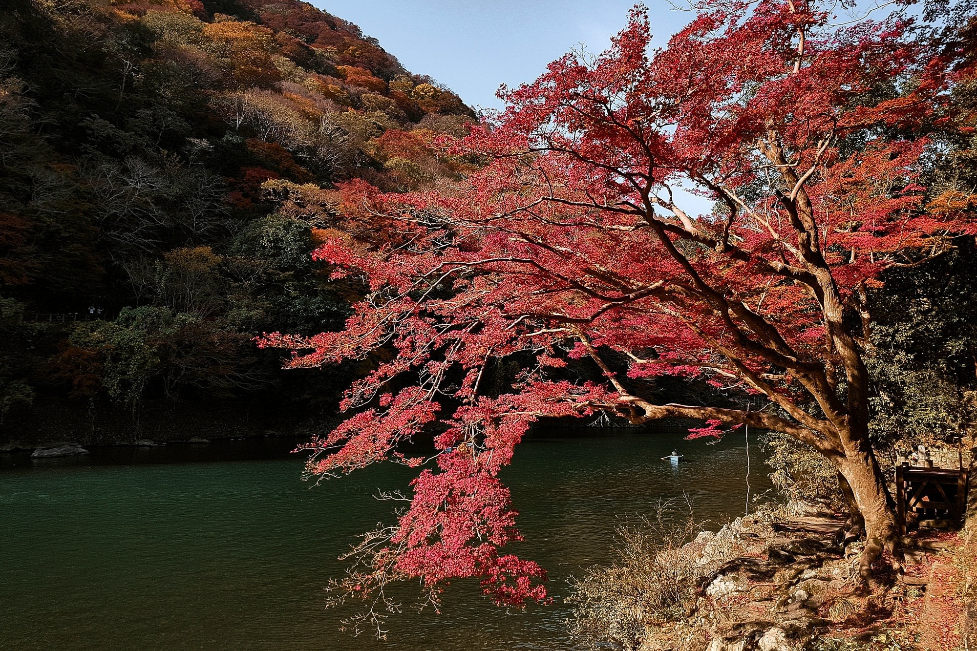 Kyoto and Nara, Japan — A Photographer’s Travel Guide