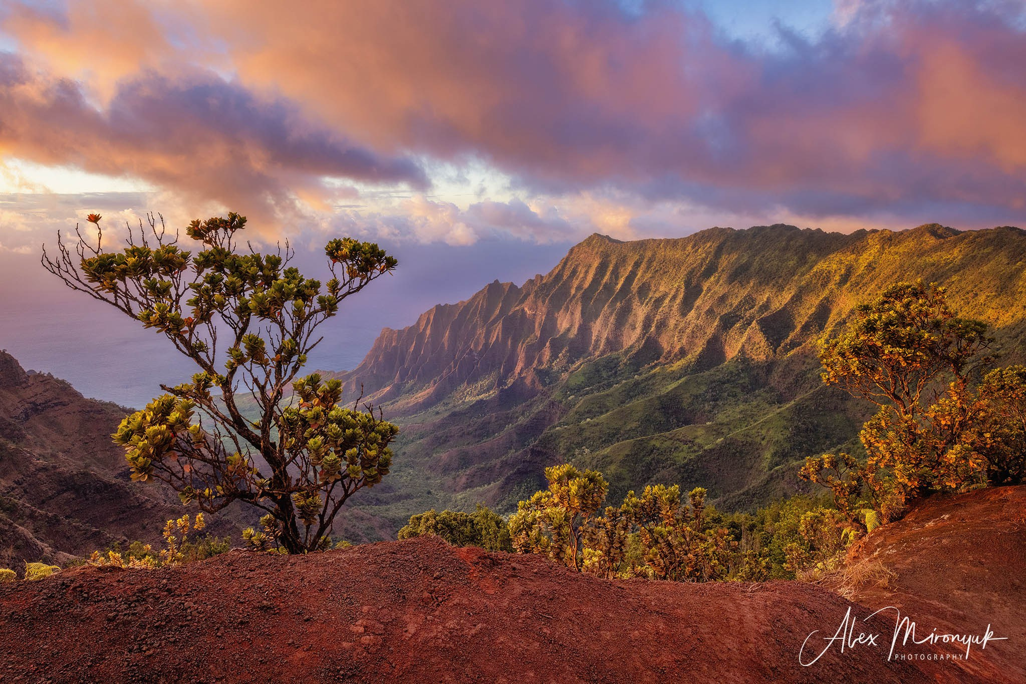 Kauai Photo Workshop