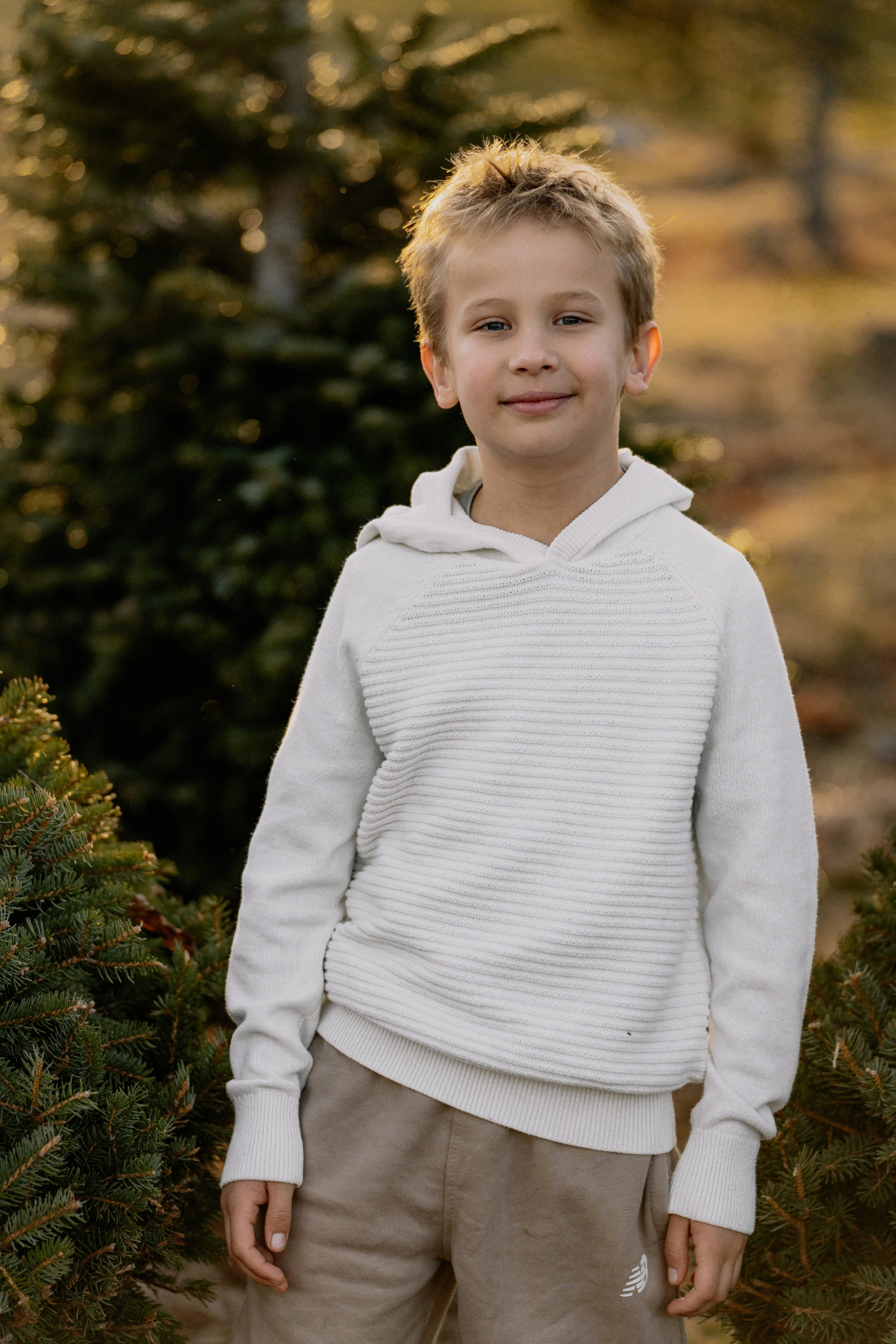 Christmas Farm Family Photoshoot – Magical Holiday Memories. Alisa Tant — Family and newborn photographer Bucks County, Montgomery county, Philadelphia, NJ