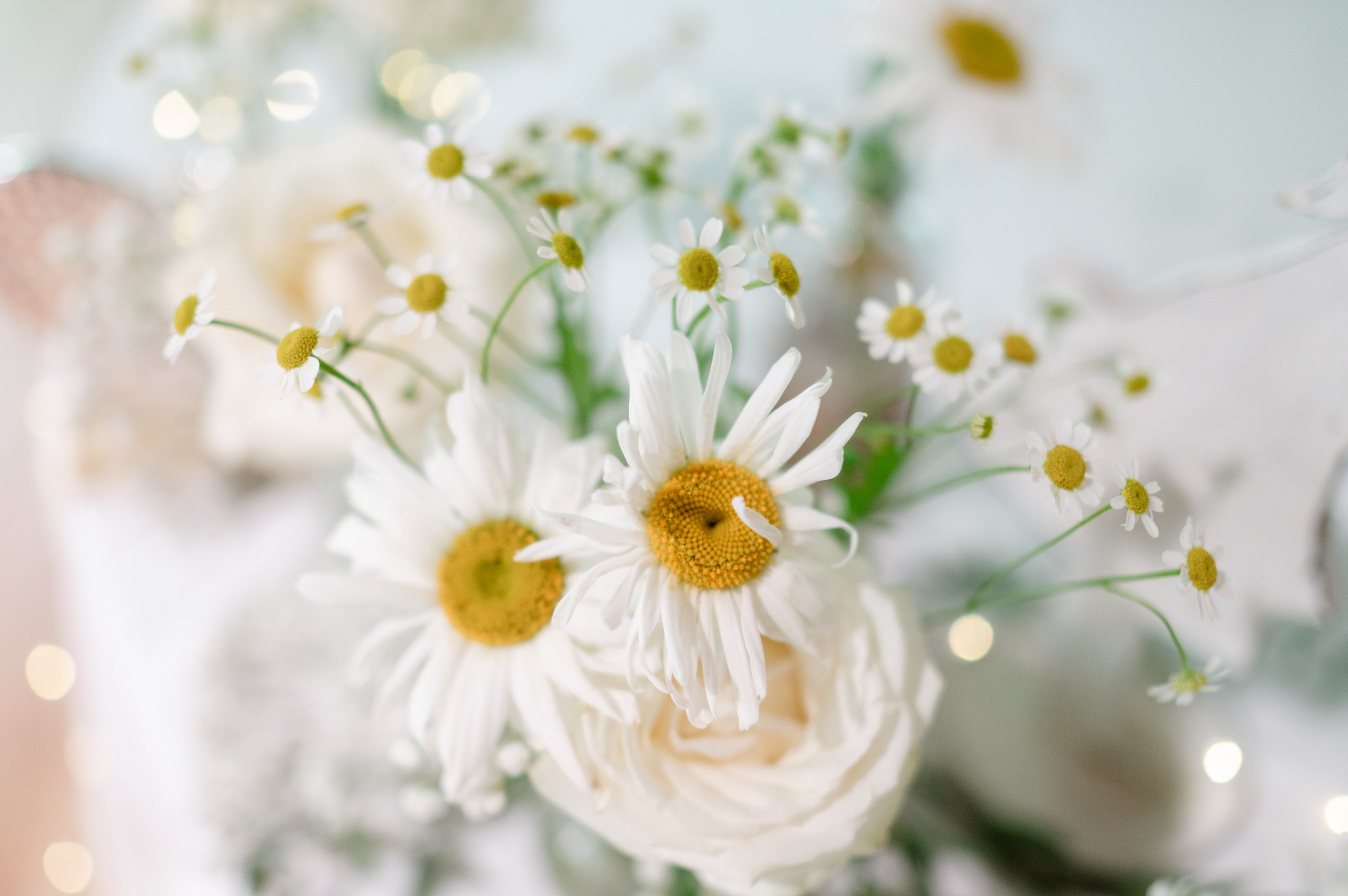 About me. Alexandra Hanu Photographer