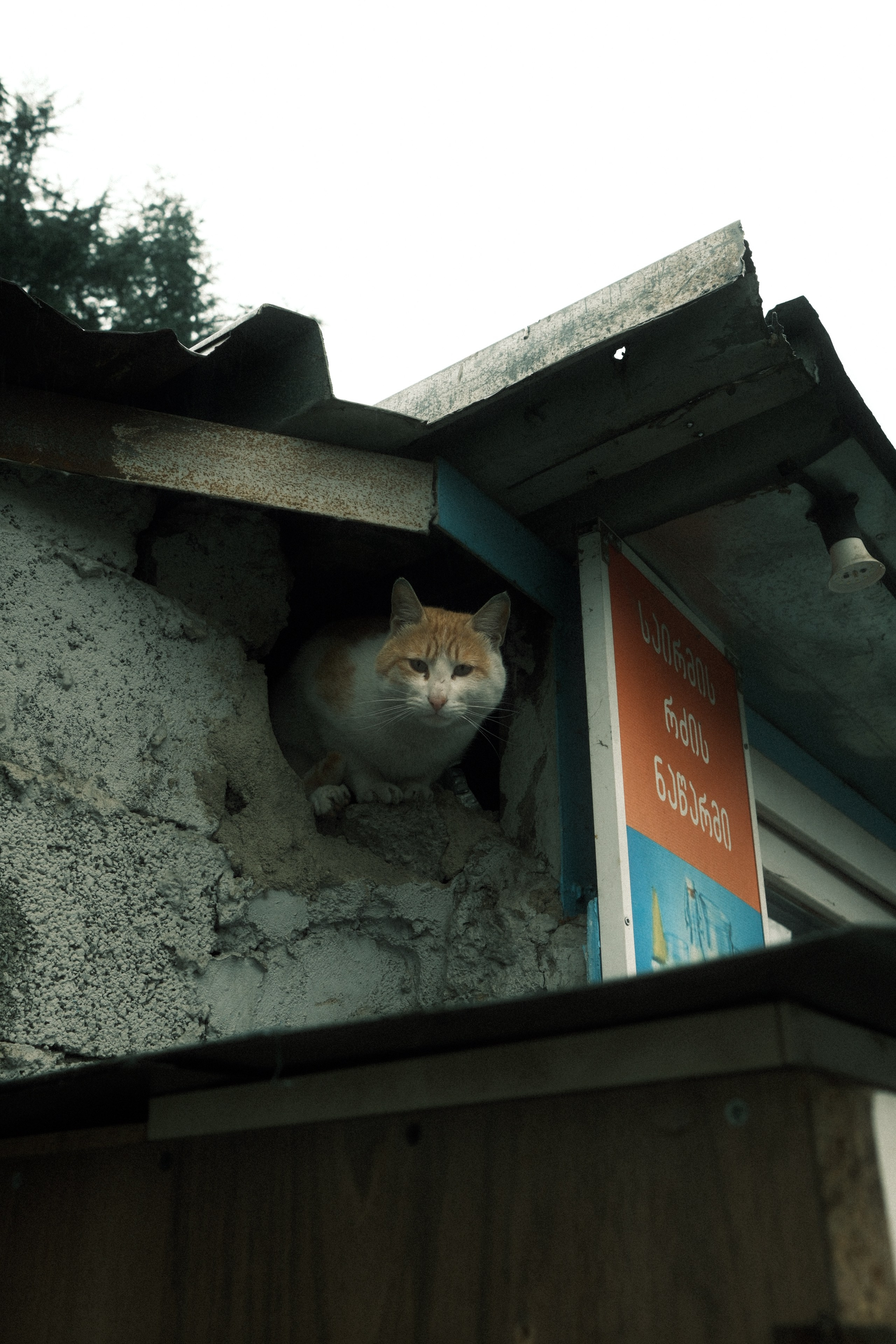 Urban Colors — 001. @Gio.Fujifilm ოფიციალური აბასადორი, X-ფოტოგრაფი