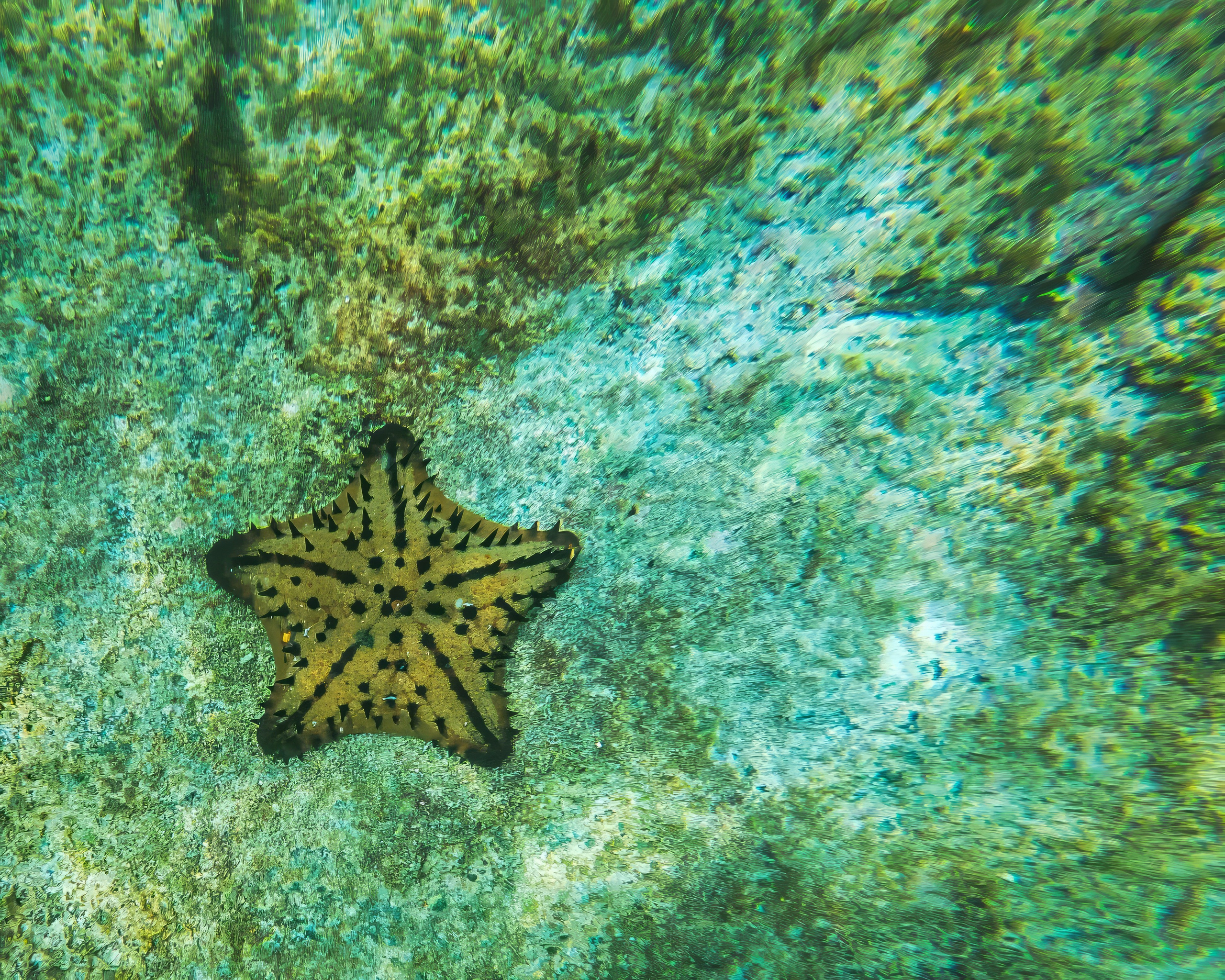 Galapagos Islands Adventure. Alex Mironyuk Photography