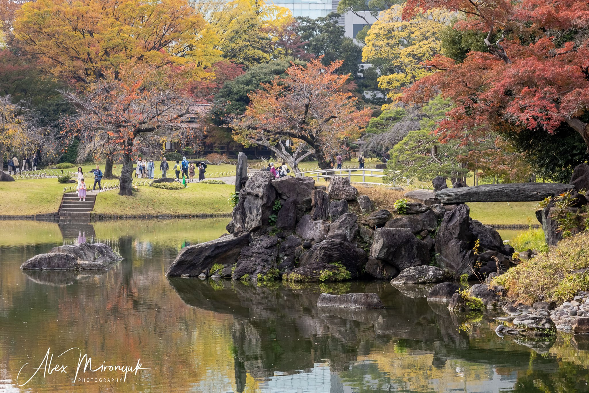 Autumn Colors of Japan. Pet, Senior, Landscape, portrait studio, photographer in Miami and Sou