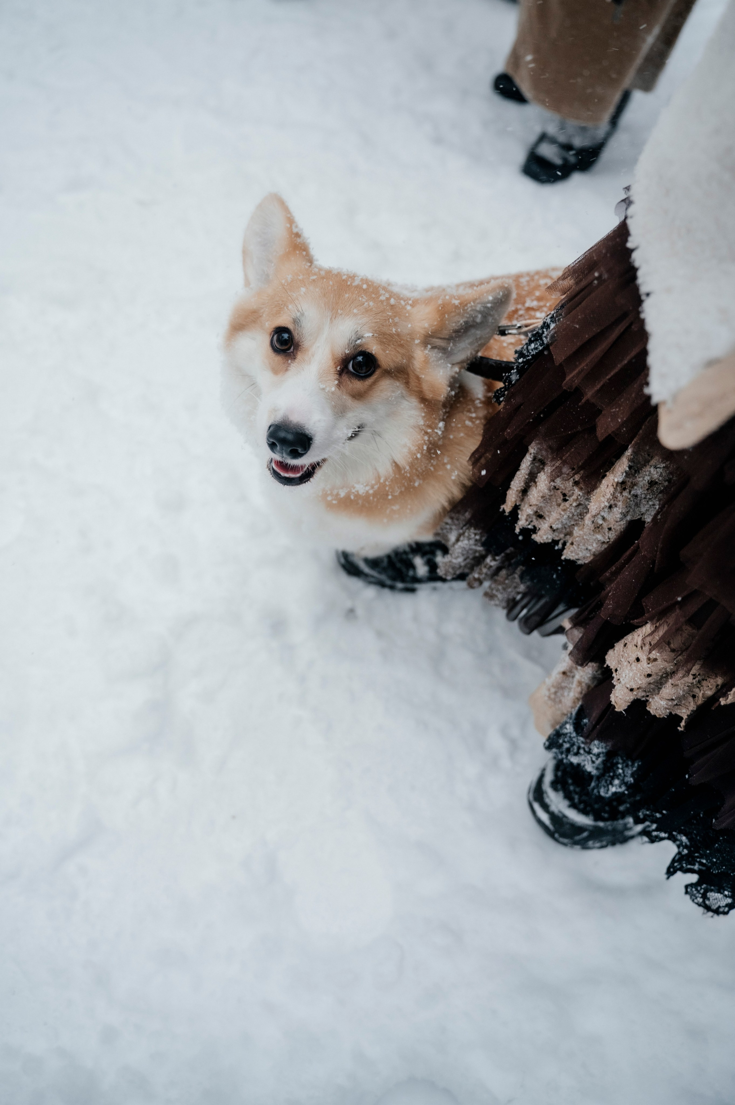 Семья/пара. Фотограф Таллинн — свадьба |семья | lovestory