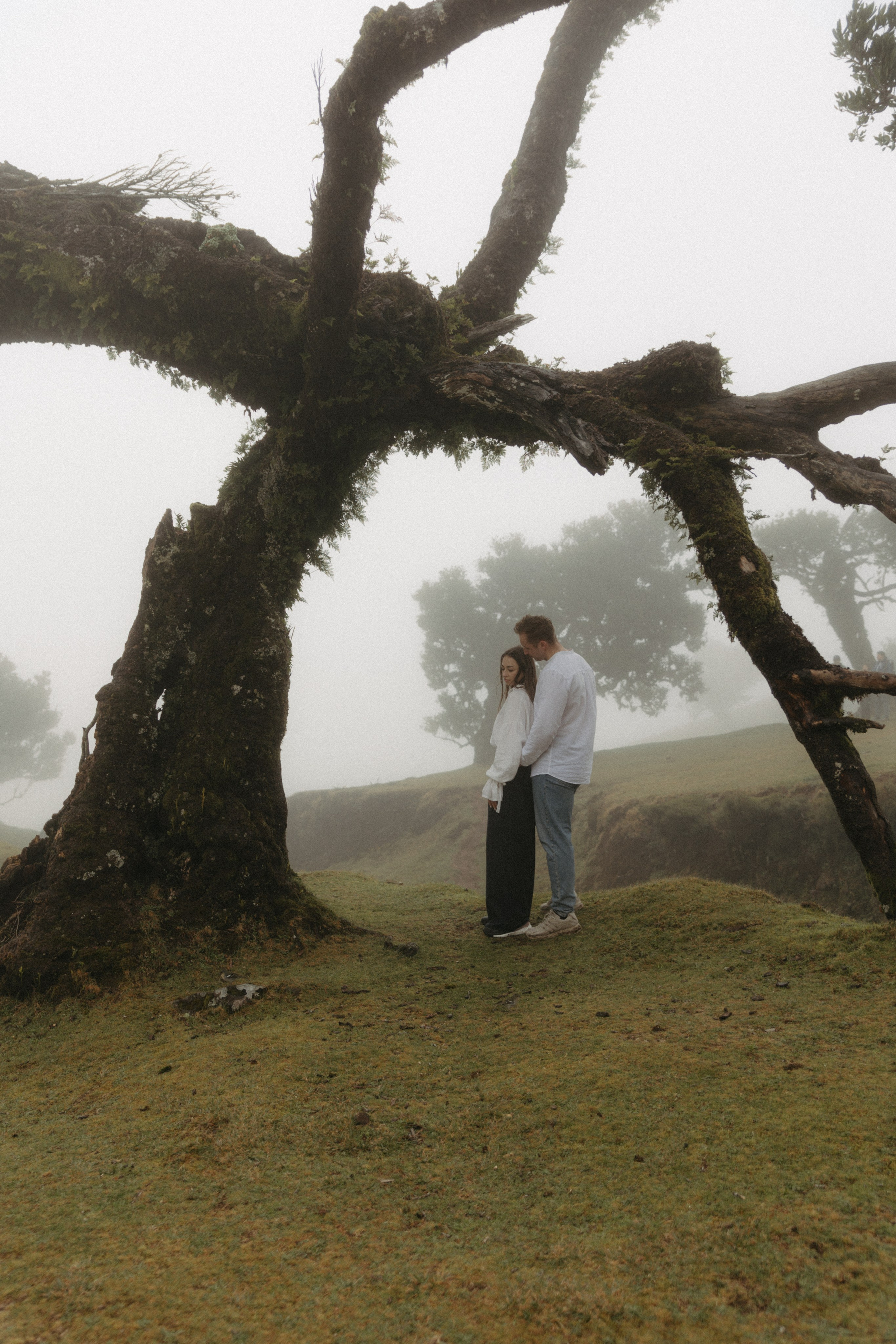 Magic of Fanal Forest. Wedding photographer and videographer based in Timisoara, Romania
