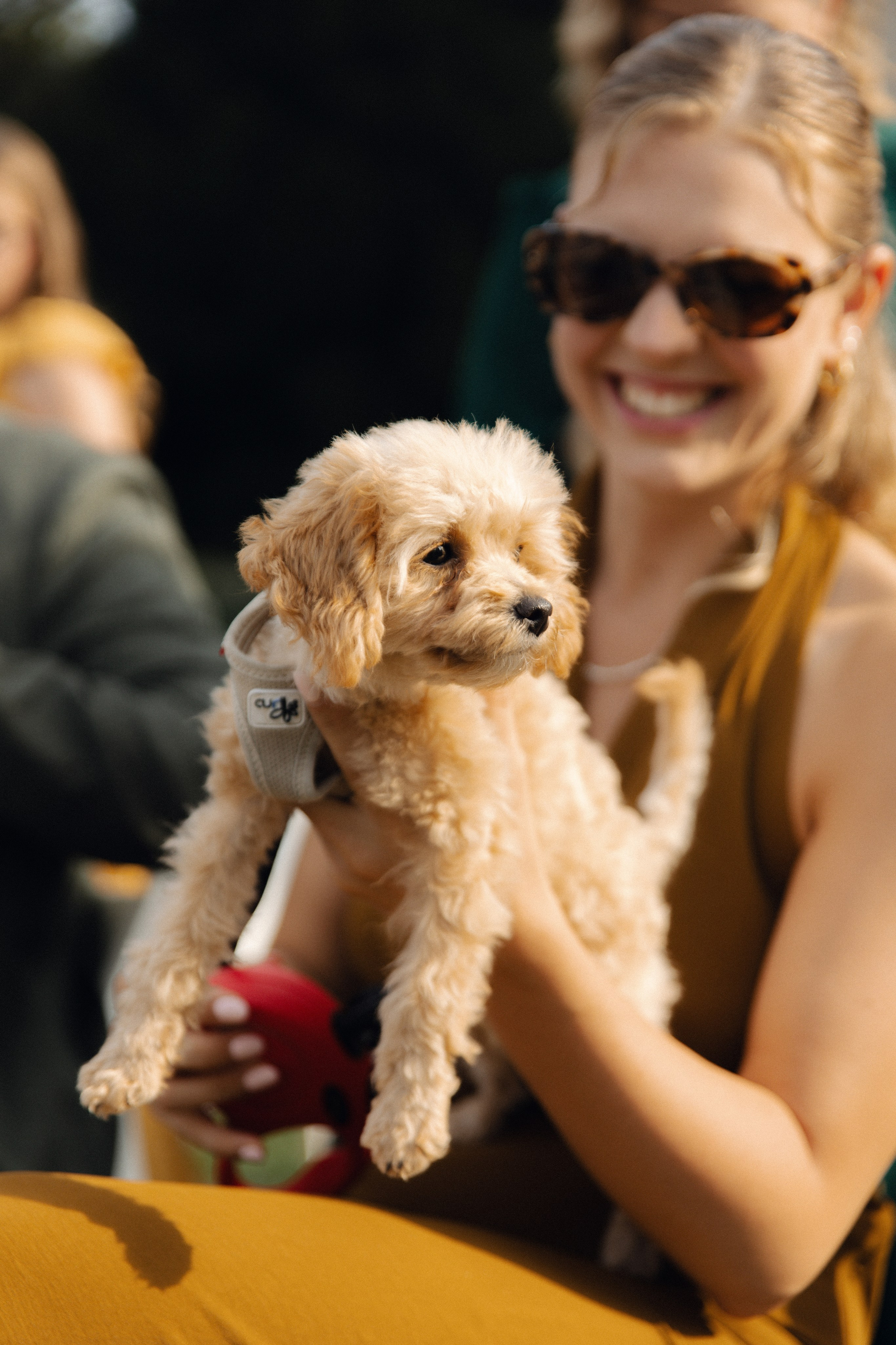 Elegant Castle Wedding in Austria | Alwin & Ruth’s Fairytale Celebration. Wedding photographer and videographer based in Timisoara, Romania