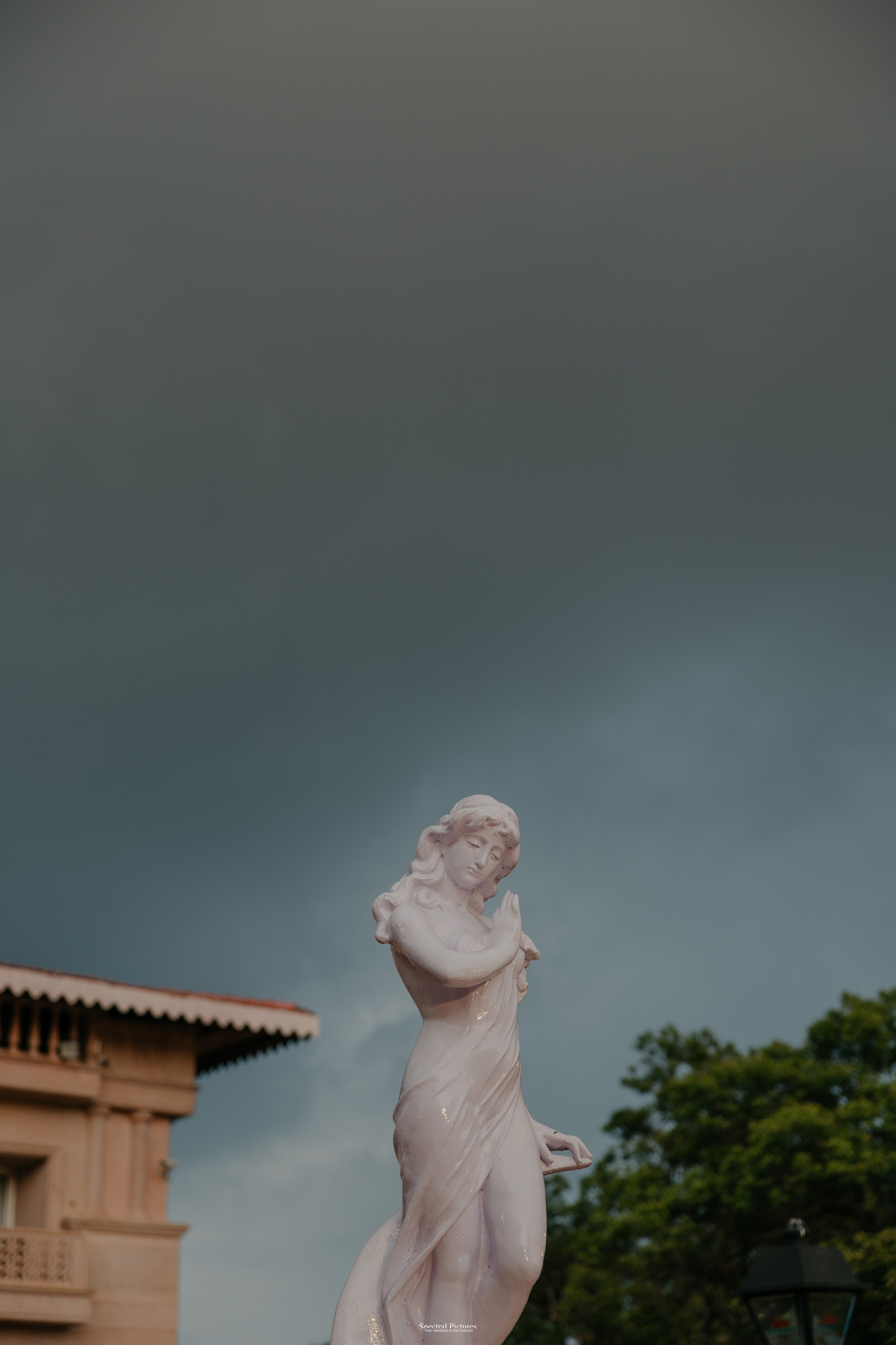 #THEPURALOVESTORY is a journey of two hearts growing in sync, across seasons, challenges, and memories