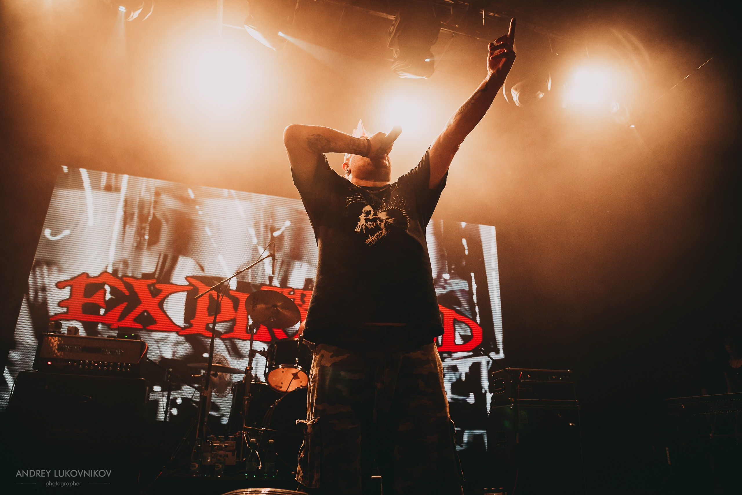 The Exploited. Tour 2017