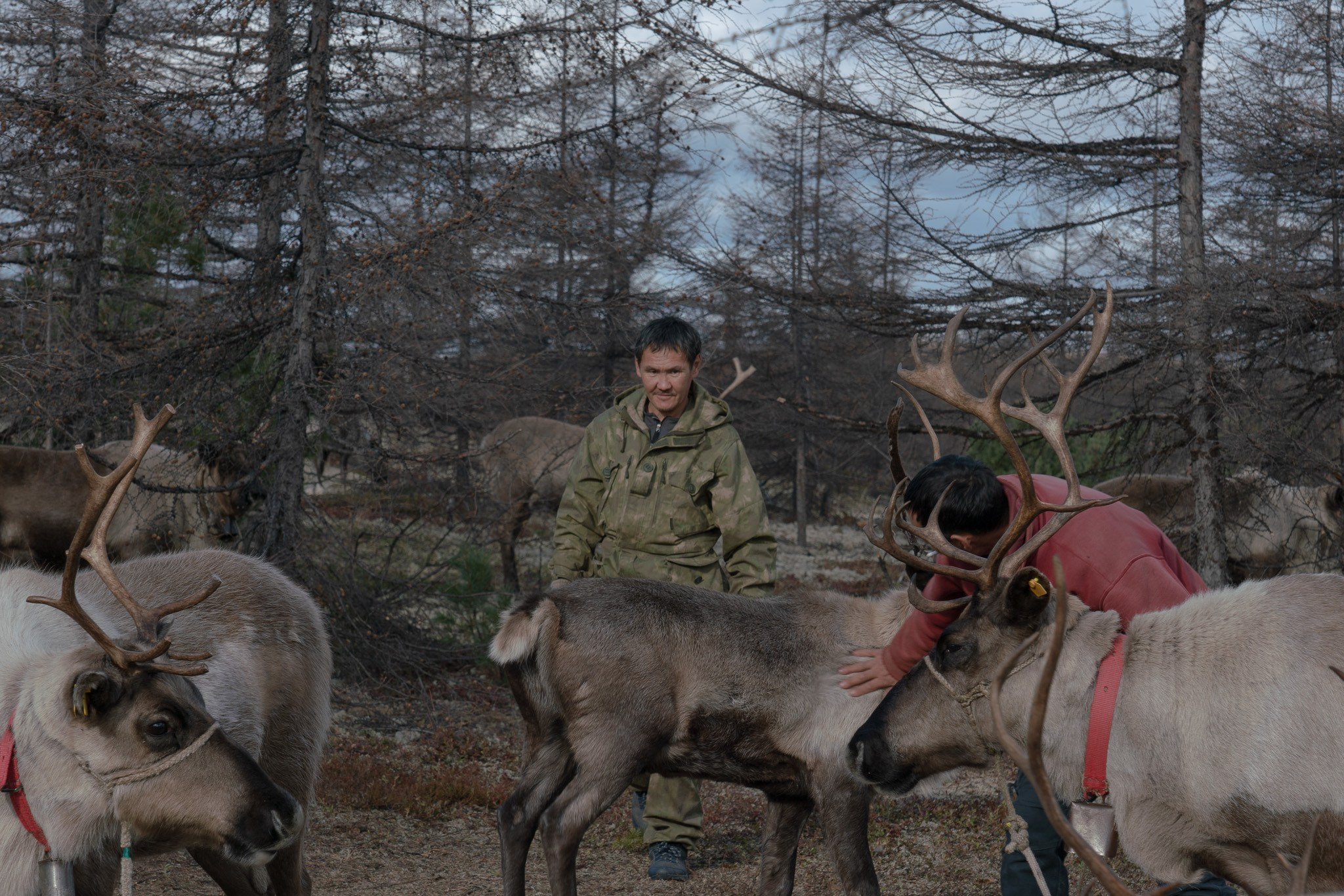 Disappearing people. Marina Sycheva