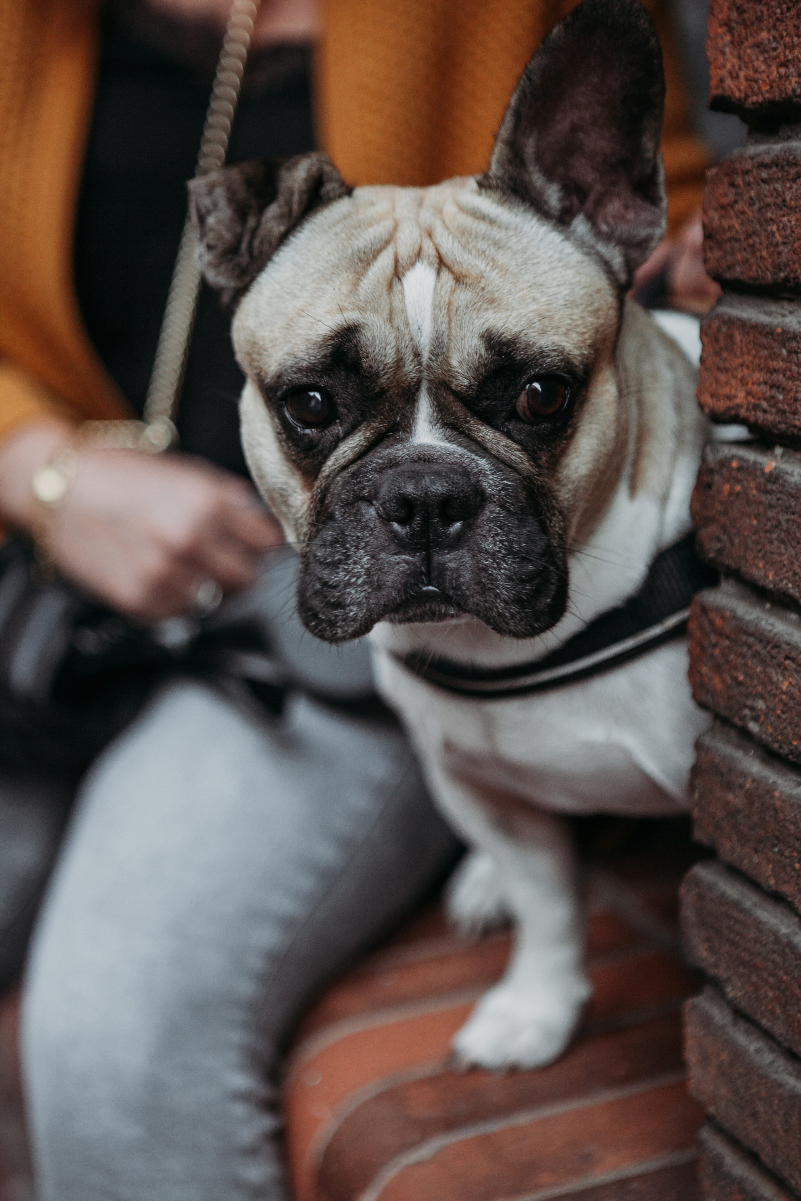 Toulouse photo walk. Eugénie Smirnova — your photographer in Toulouse and southwest France