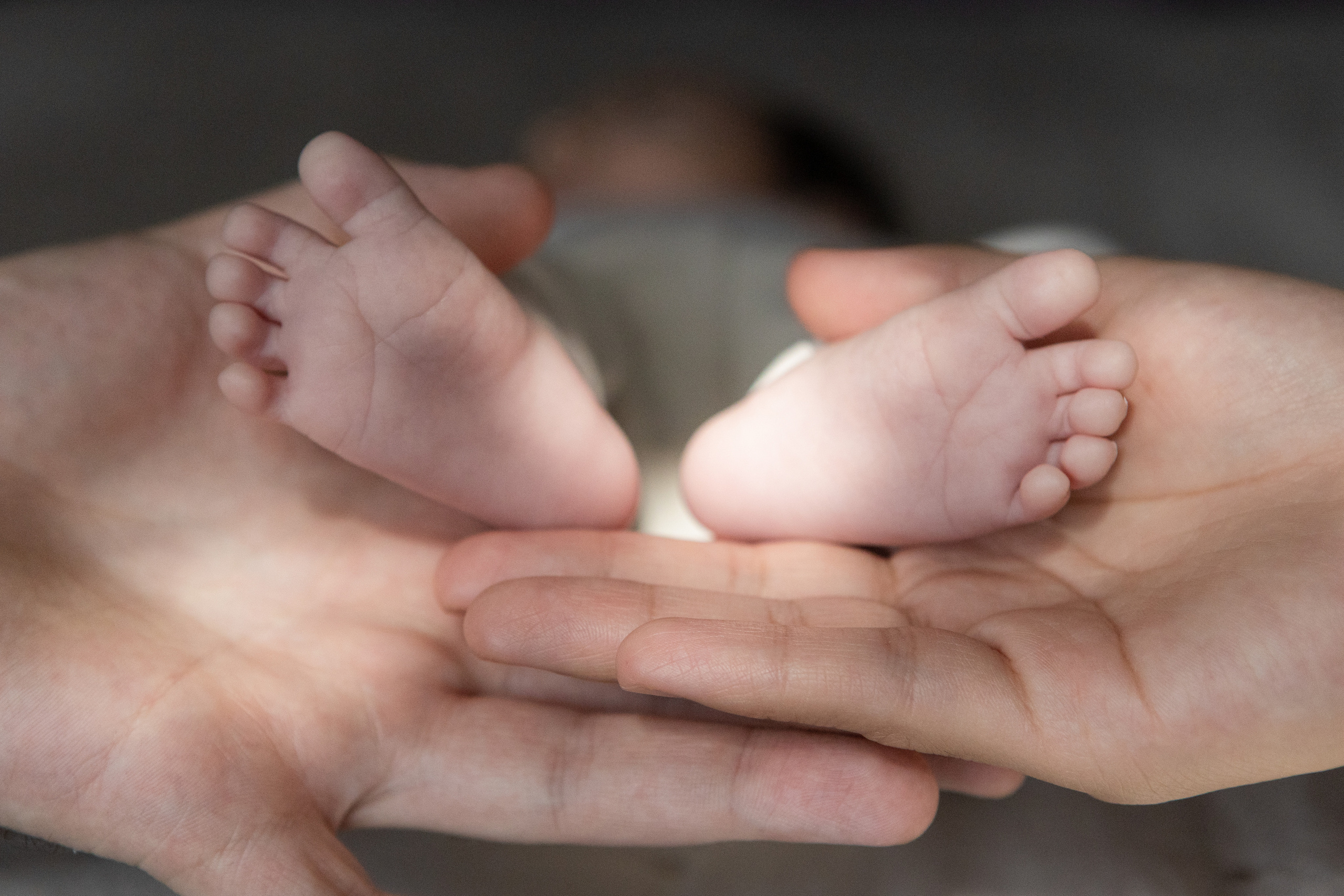 Séance photo grossesse et nouveau-né. Eugénie Smirnova — photographe à Toulouse et dans le sud-ouest de la France