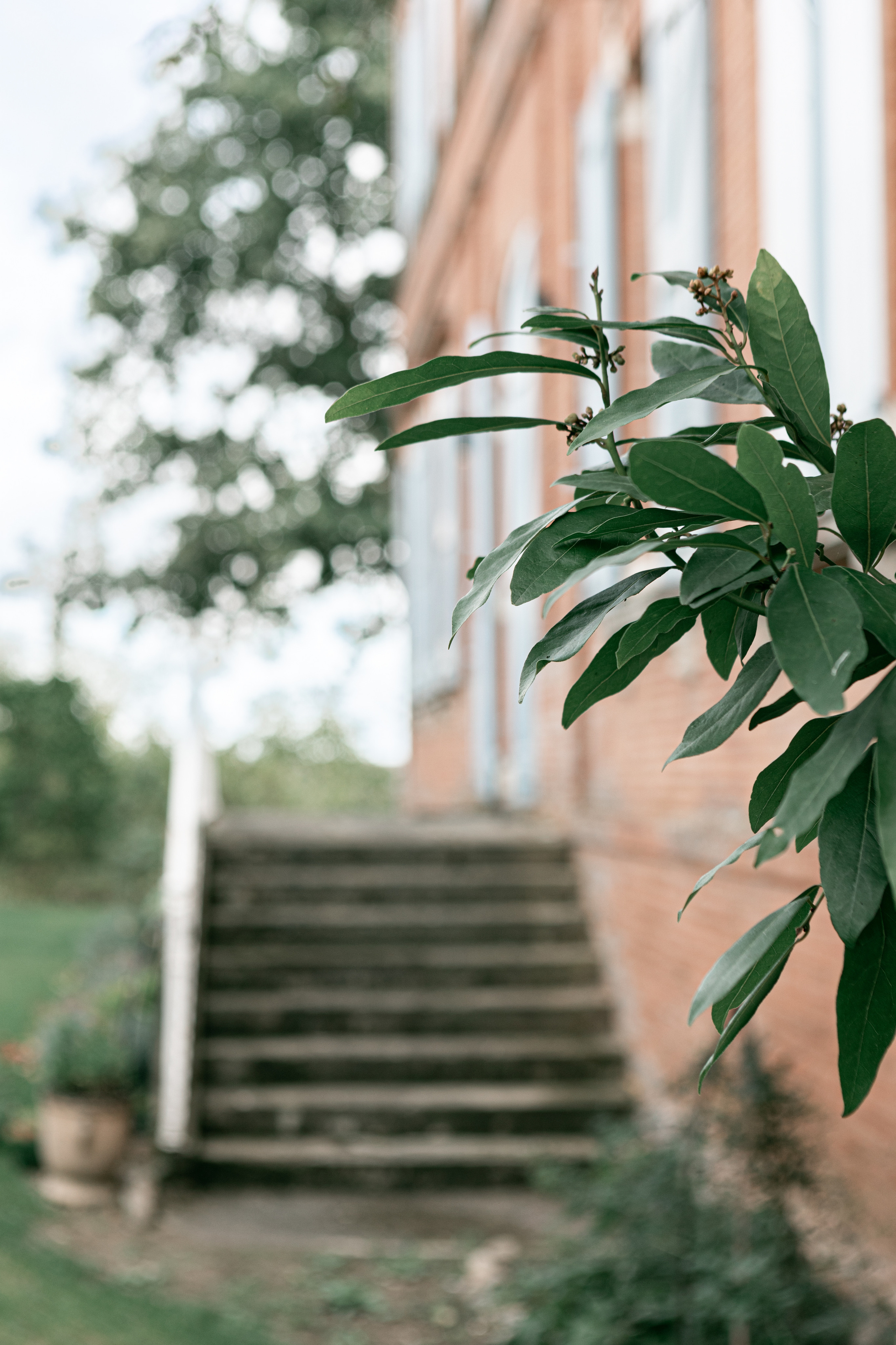 Emerald themed wedding in Château de Puydaniel. Eugénie Smirnova — photographe à Toulouse et dans le sud-ouest de la France