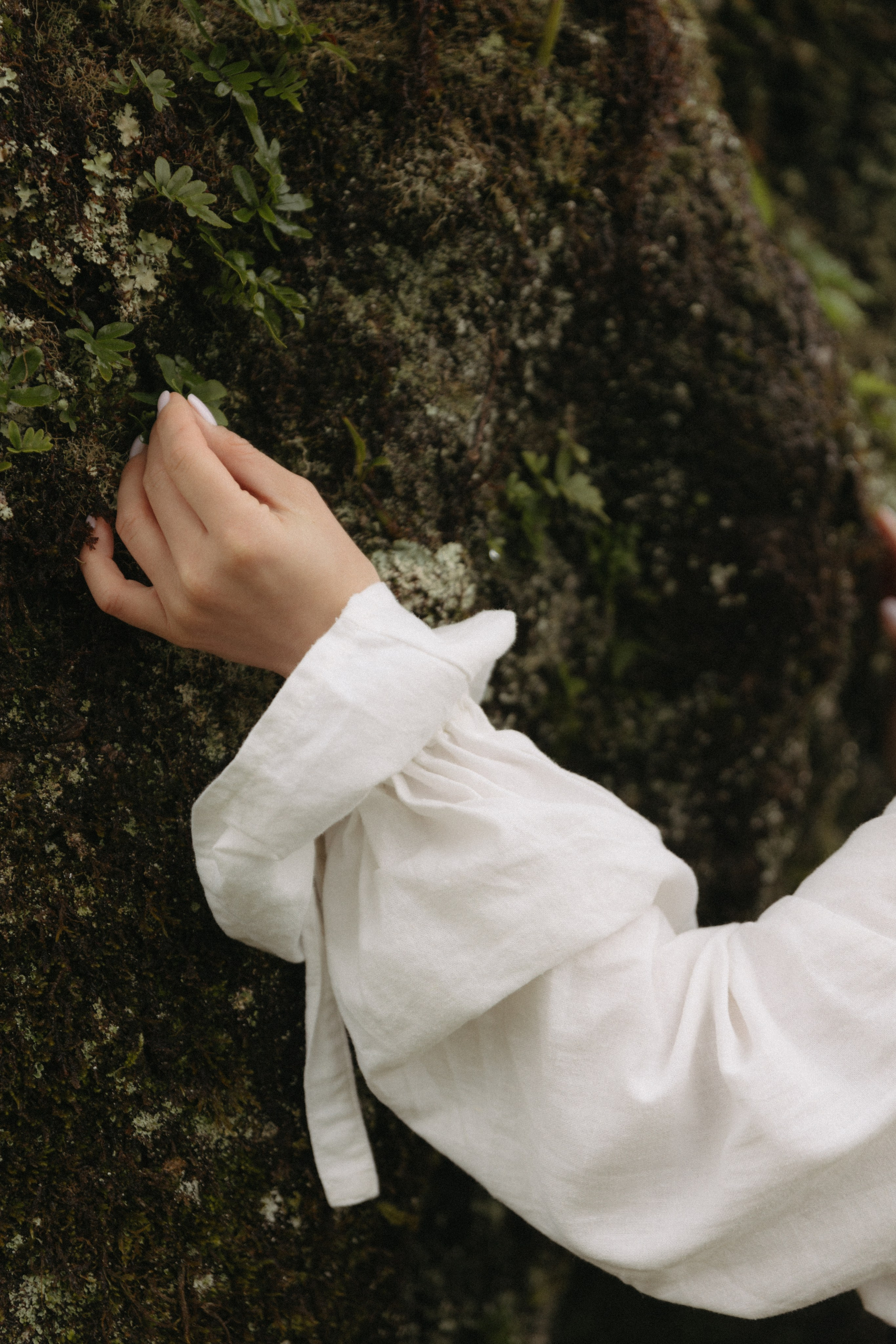 Magic of Fanal Forest. Wedding photographer and videographer based in Timisoara, Romania