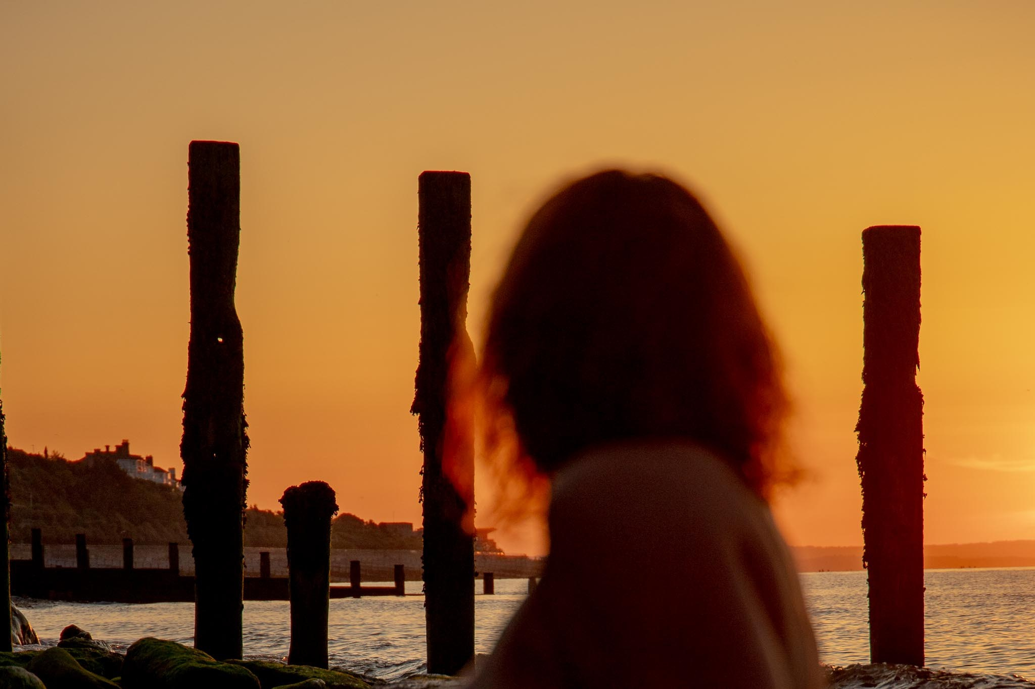 In Harmony with Nature. Natalja Poplavska — Visual artist, Photographer, East Sussex, London