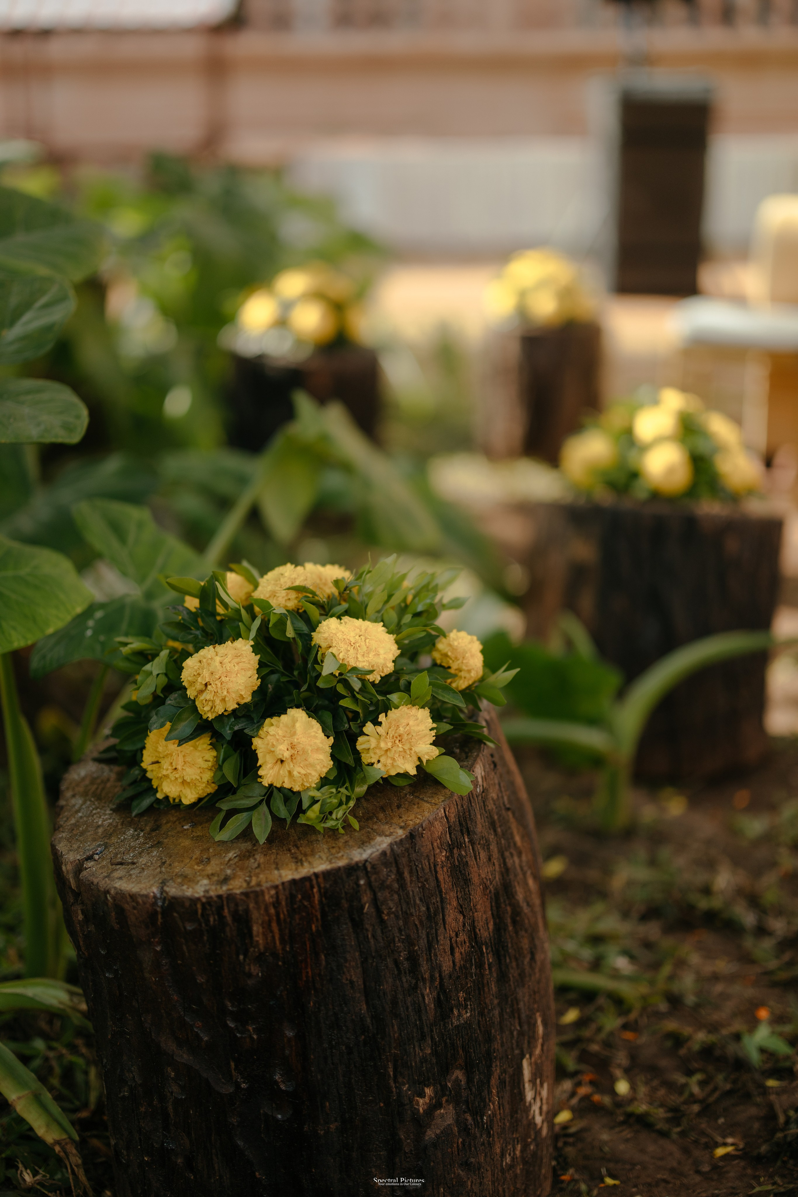 #THEPURALOVESTORY is a journey of two hearts growing in sync, across seasons, challenges, and memories