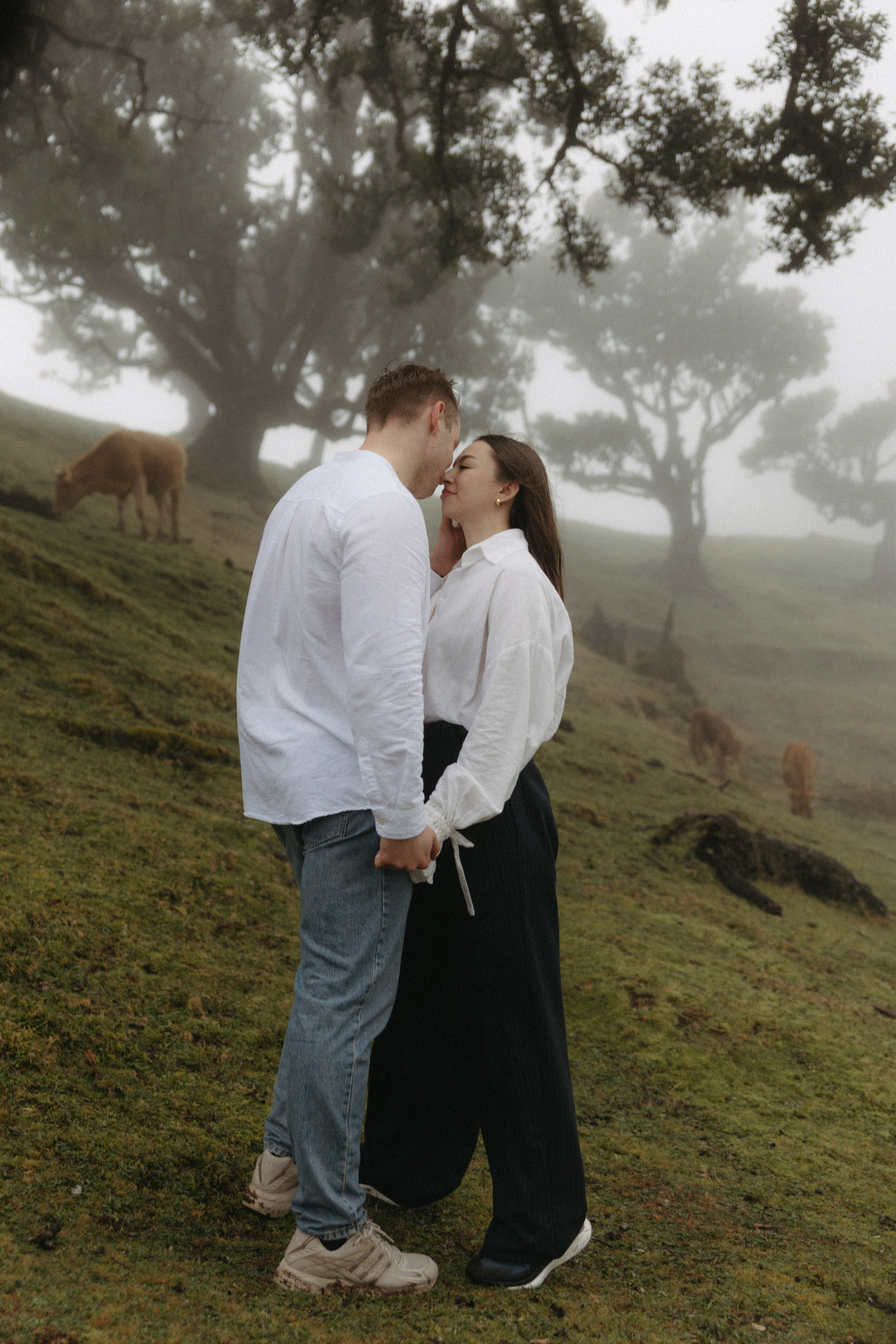 Magic of Fanal Forest. Wedding photographer and videographer based in Timisoara, Romania