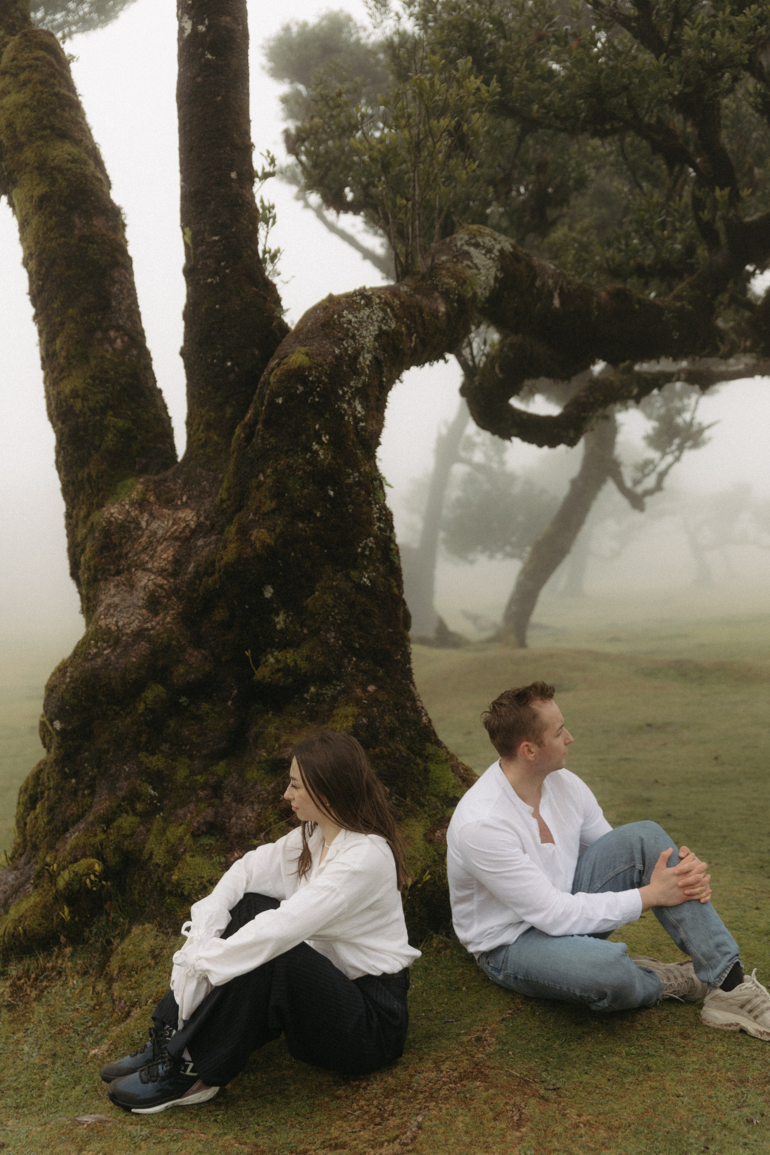 Magic of Fanal Forest. Wedding photographer and videographer based in Timisoara, Romania