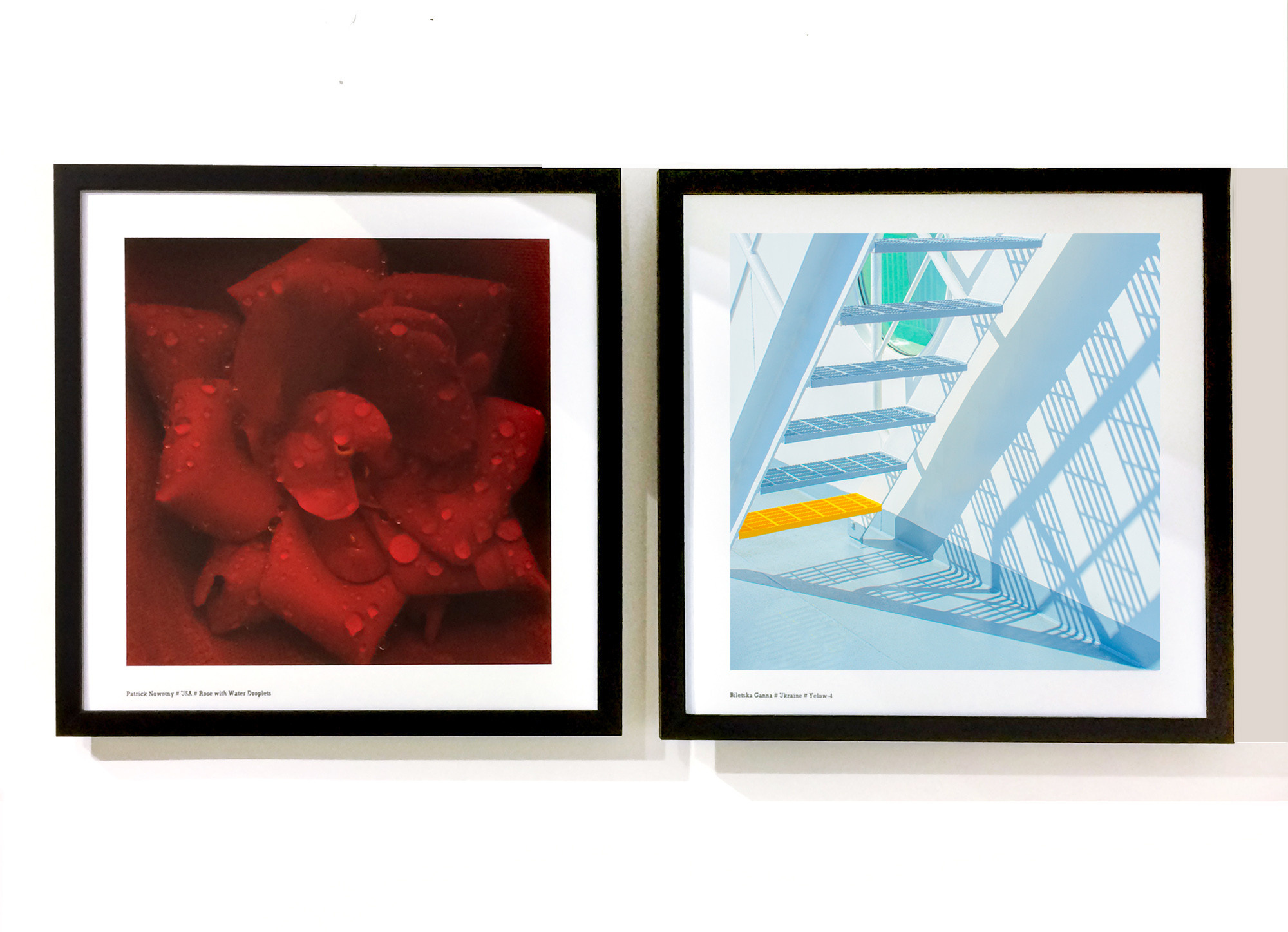 Blank Wall Gallery Ganna Biletska