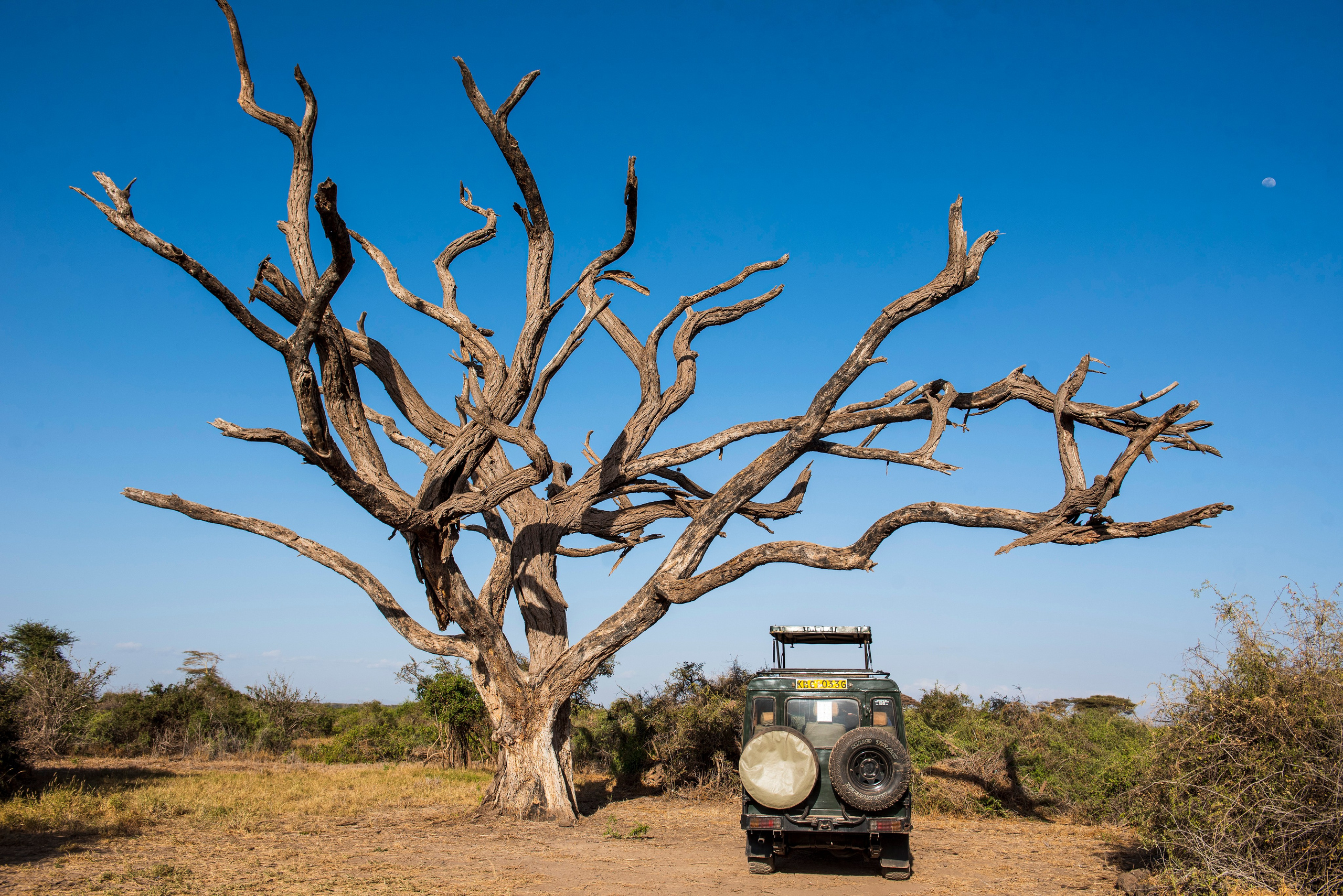 Amboseli National Park honeymoon portraits