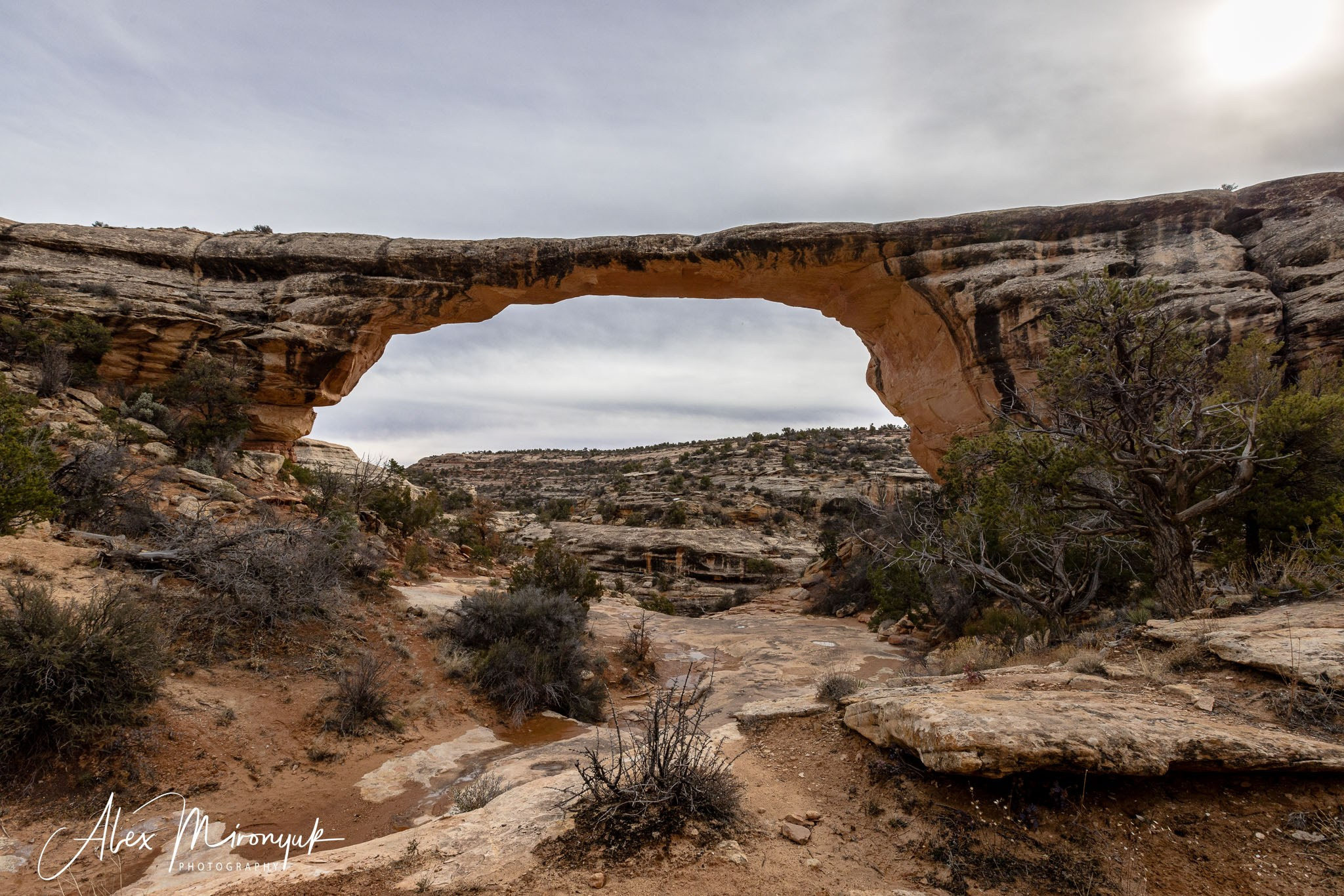 Eagle’s View American Southwest. Pet, Senior, Landscape, portrait studio, photographer in Miami and Sou