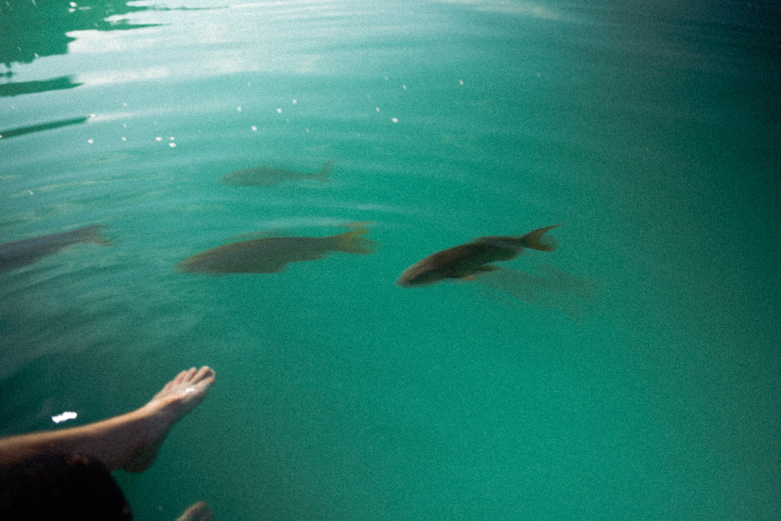 Stills from a Movie That Never Existed — Conceptual Photography by Marina Kálcheva. Marina Kálcheva — Photographer, Videographer & Visual Artist in Barcelona