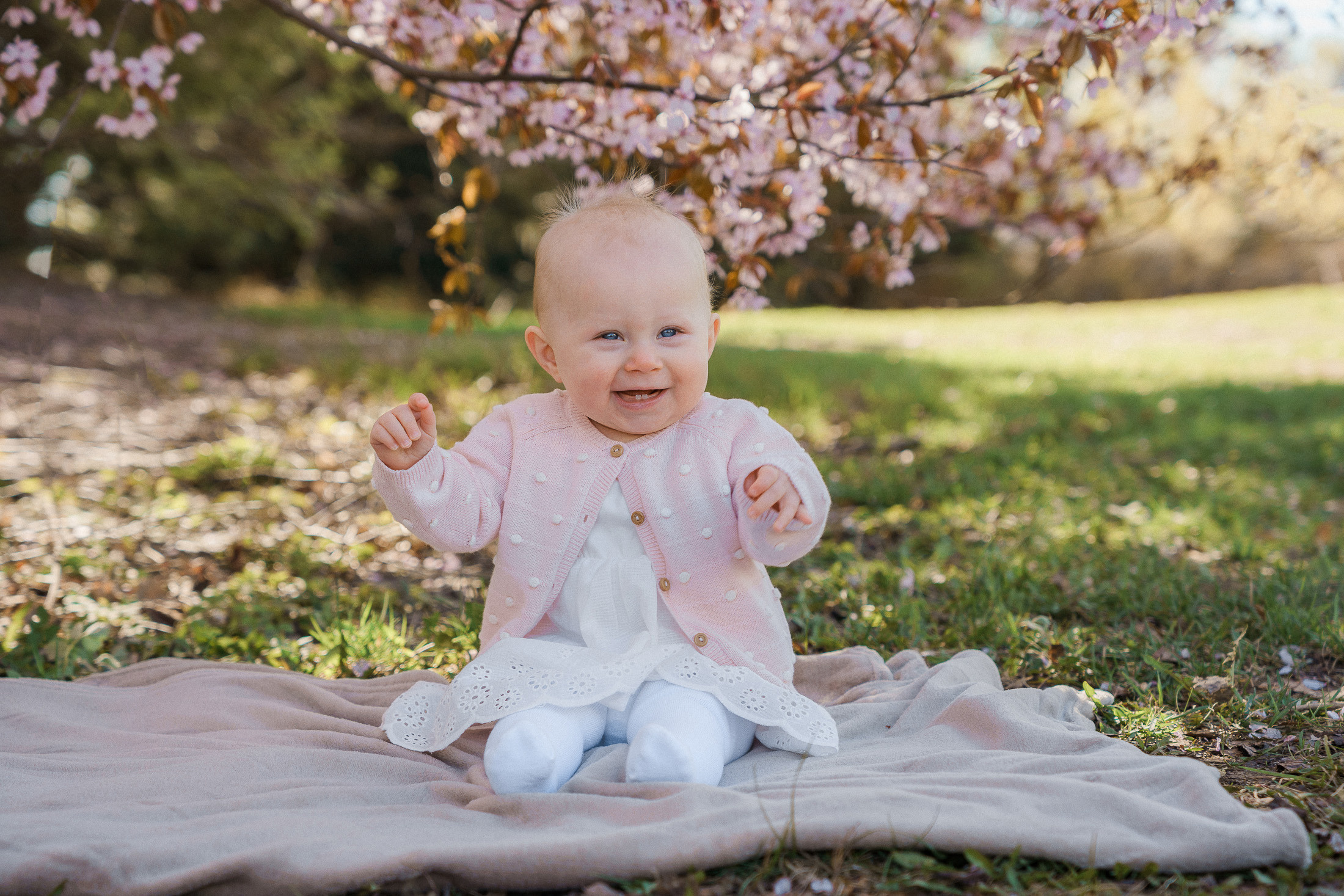 Perhekuvaus kirsikkapuistossa