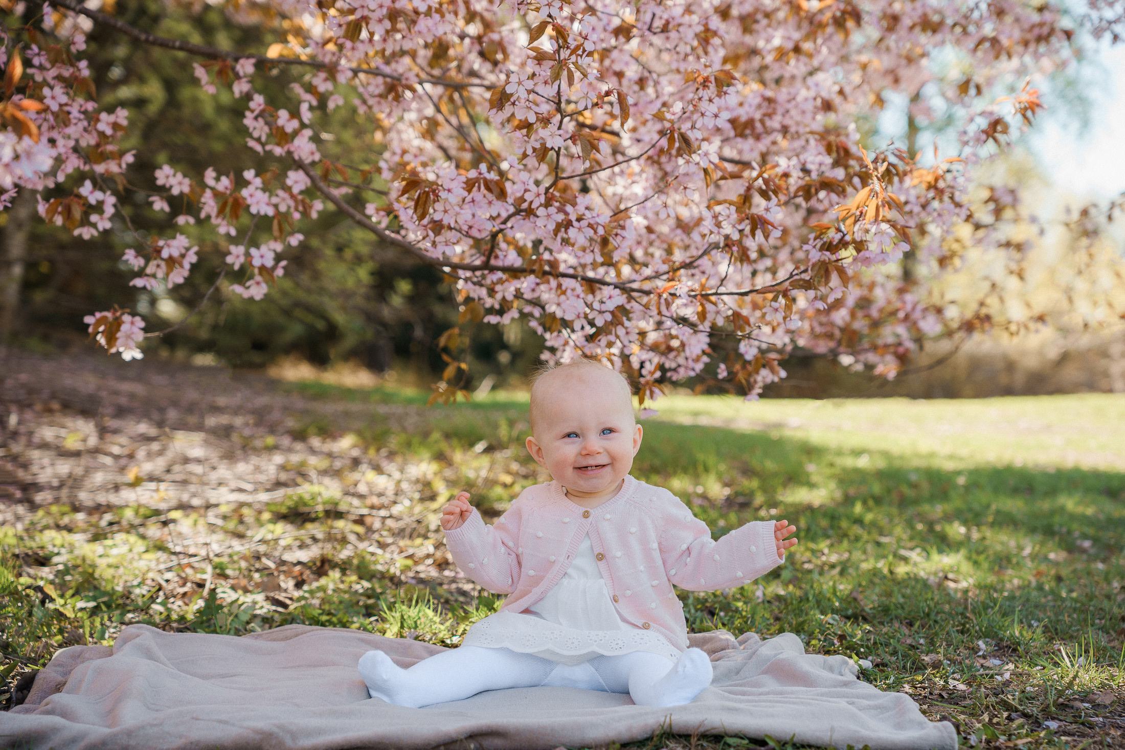 Perhekuvaus kirsikkapuistossa