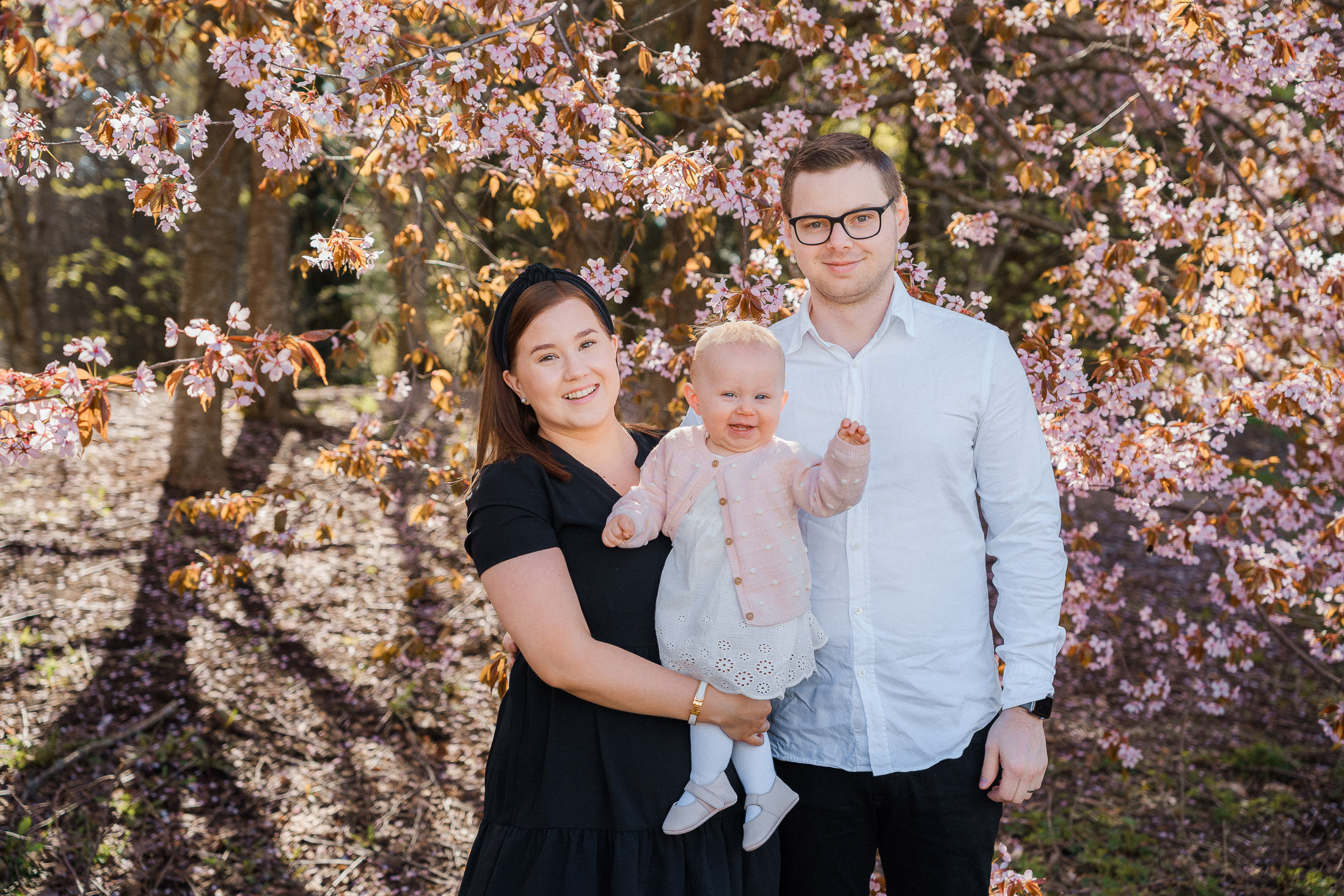 Perhekuvaus kirsikkapuistossa