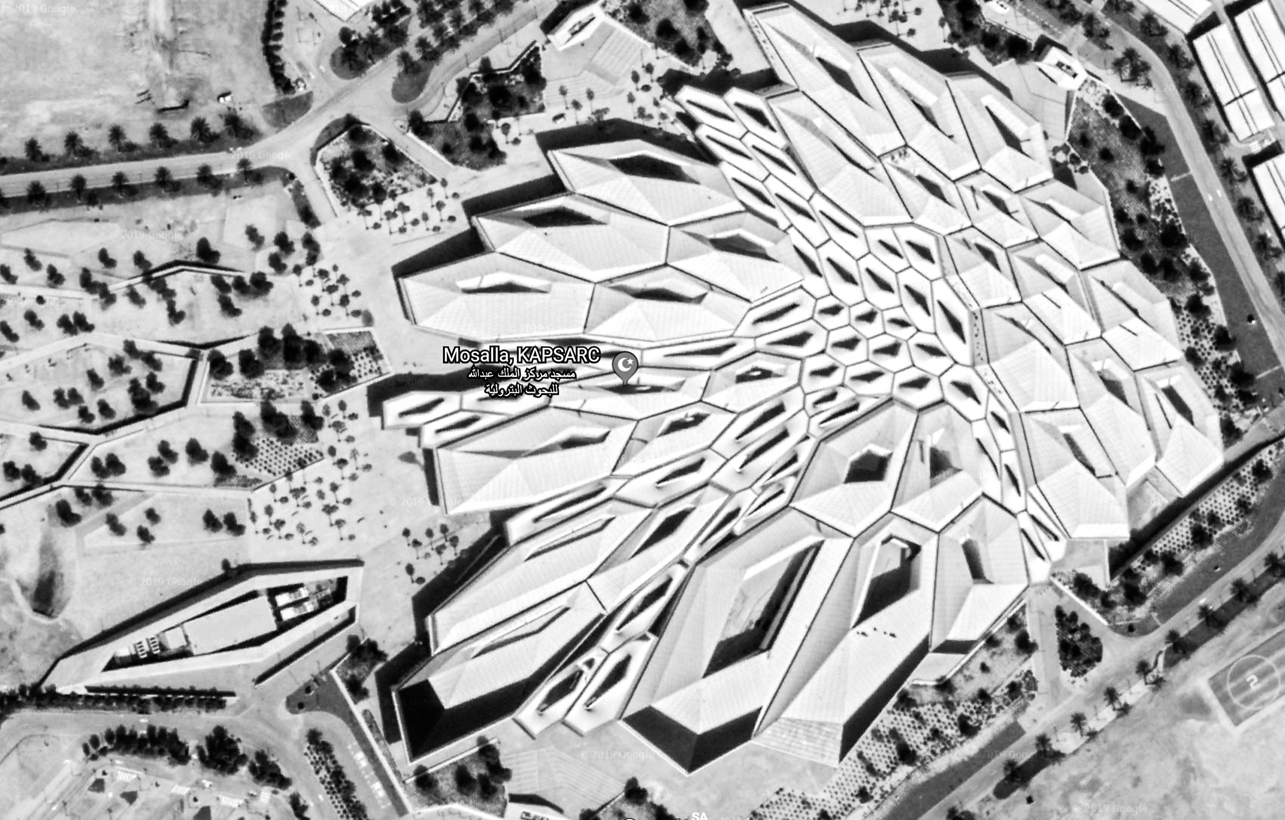 Future Vision. Документальный фотограф, междисциплинарный художник