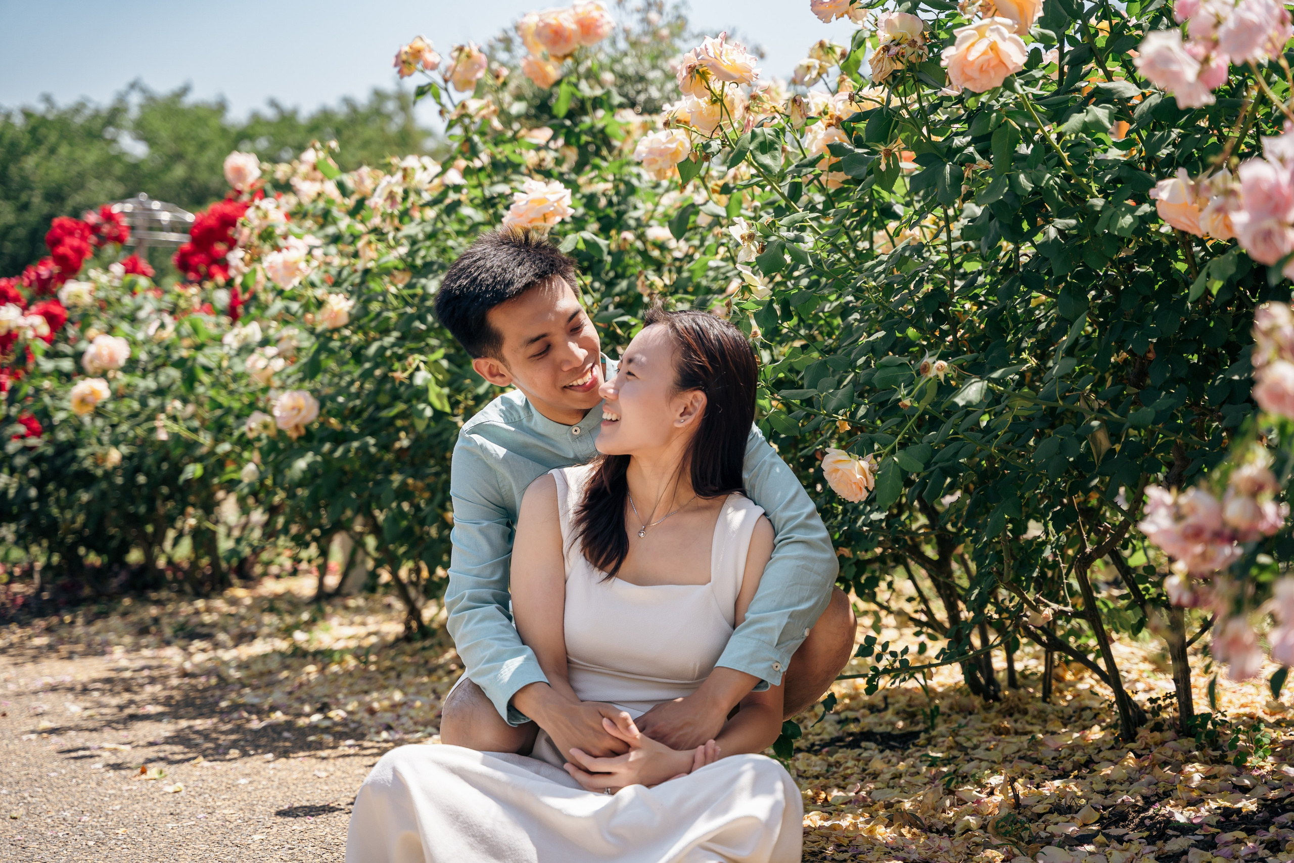 Fukuoka Couple Photoshoot: Roses, Totoro Forest & Sunset Love Story