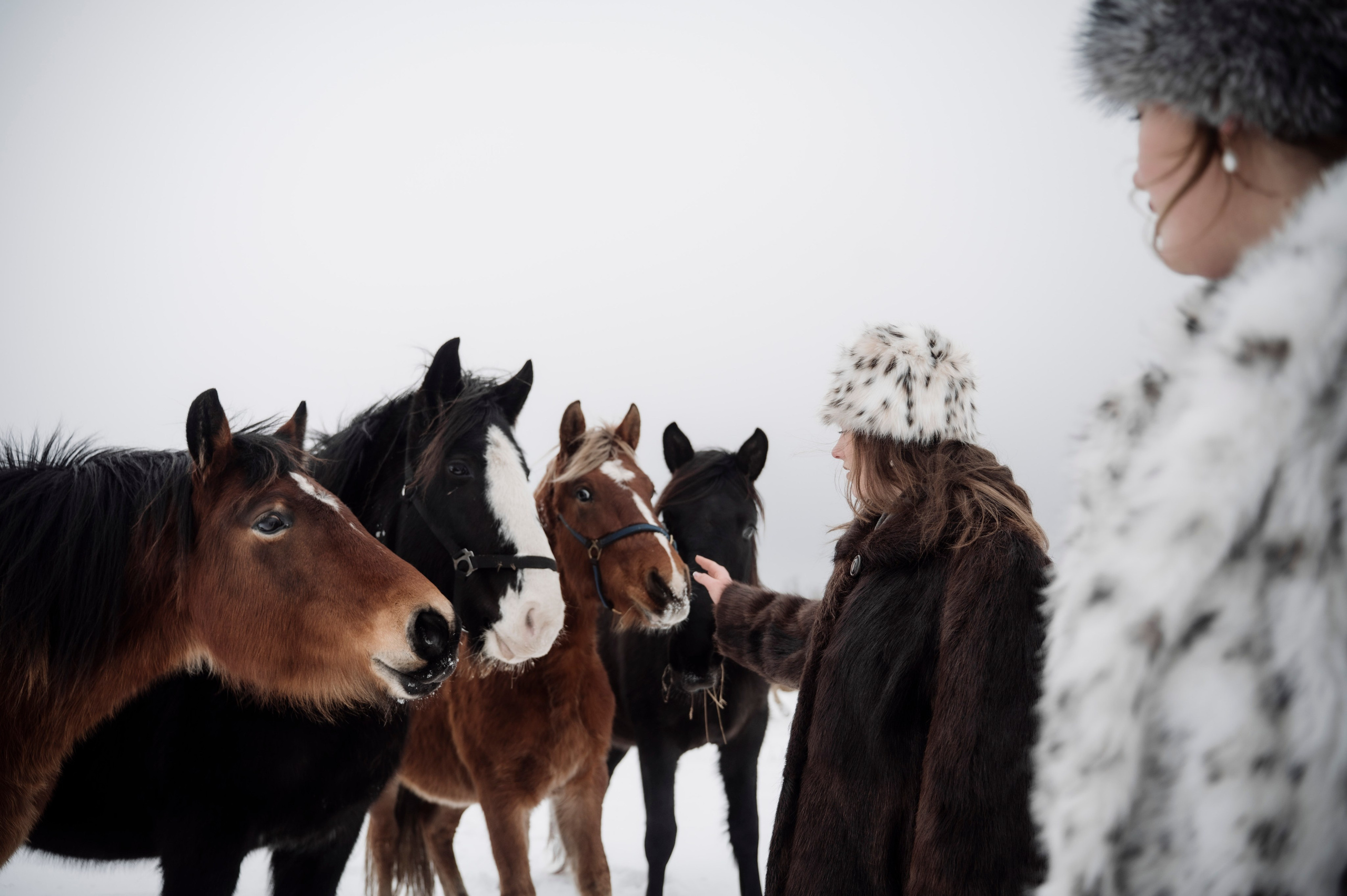 Семья/пара. Фотограф Таллинн — свадьба |семья | lovestory