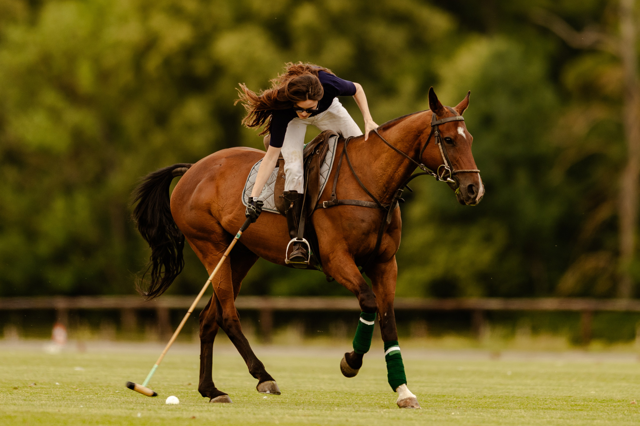 Cowgirl Spirit: An Equestrian Portrait Session in Chantilly