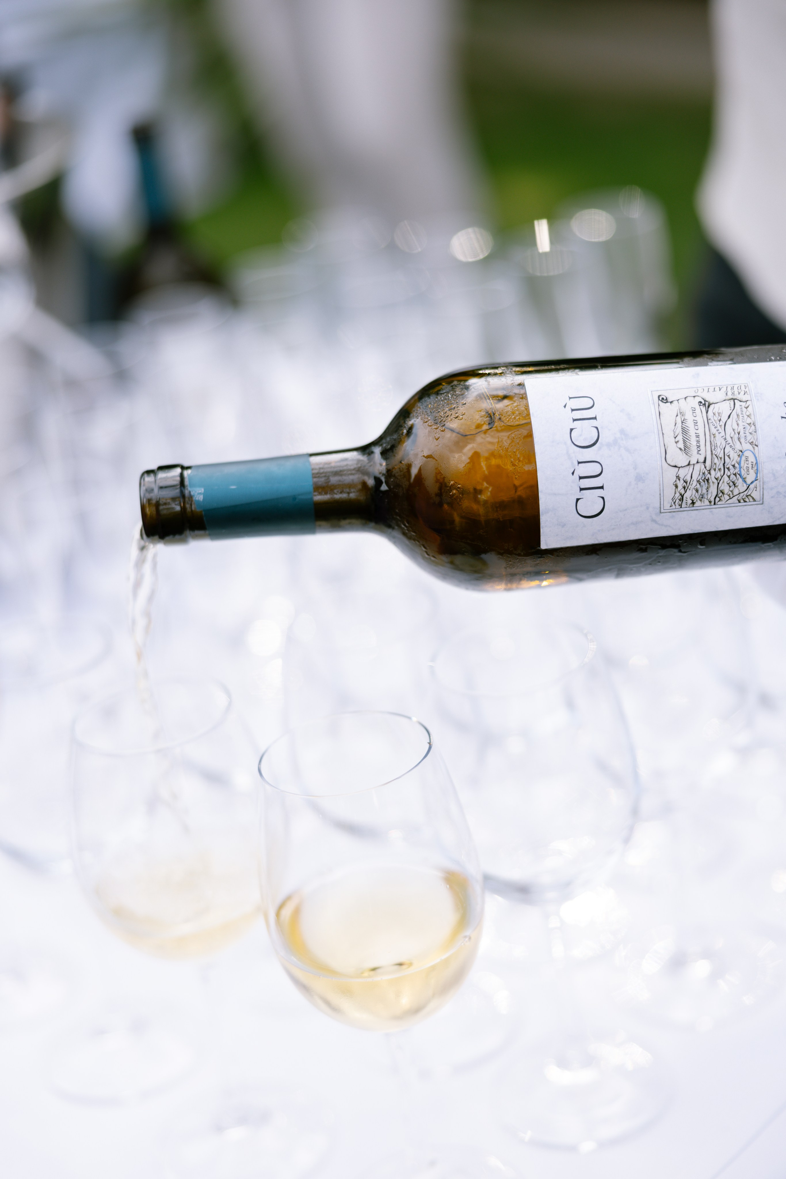 Wedding on the Brissago Islands, Ticino | Destination Wedding Switzerland. Wedding and Family Photographer Switzerland and Italy. Valeria Diaz