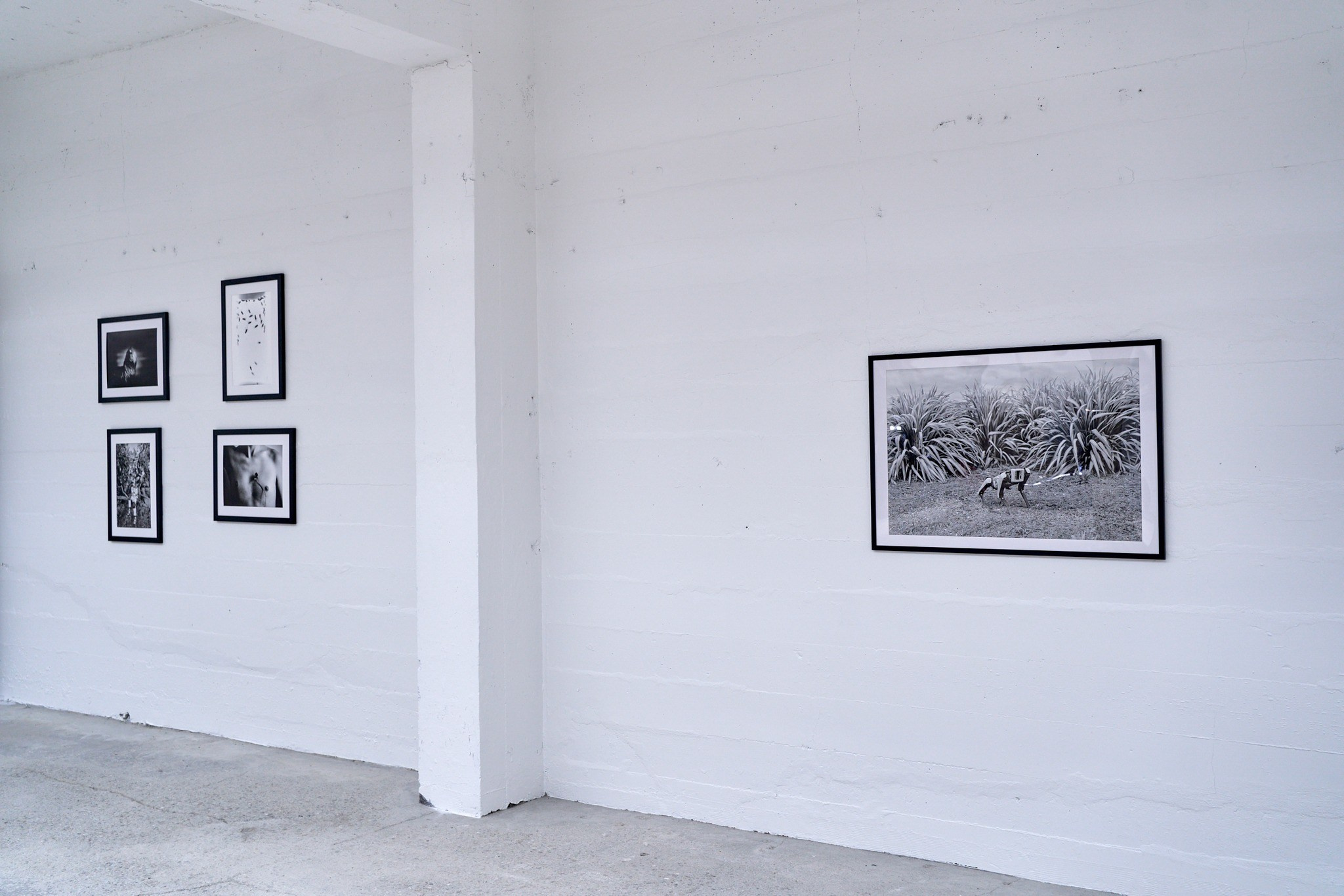 Immortality. GLISH ART — Timofey Glinin & Anastasia Shubina