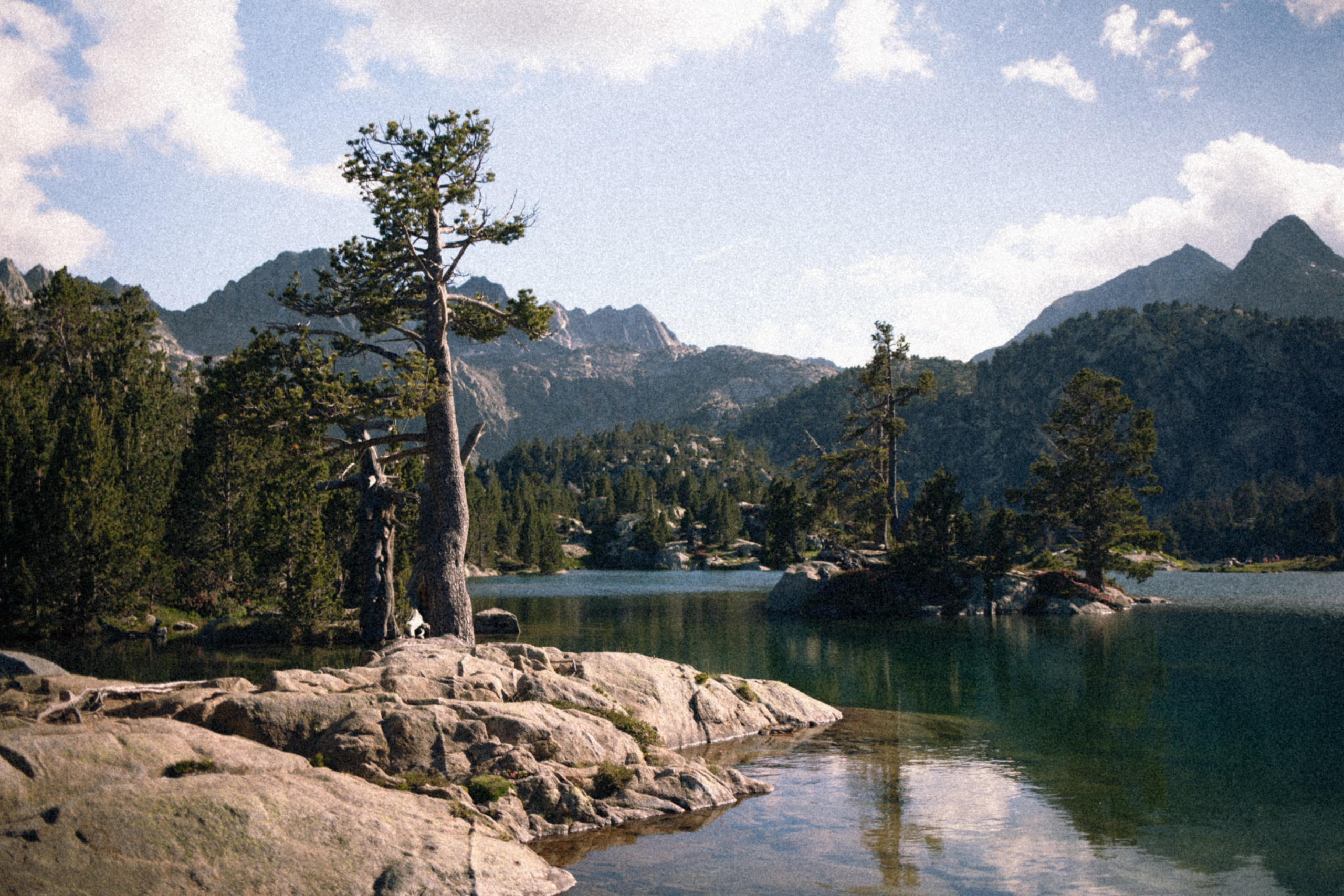 Conscious Movement & Dance Photography in Barcelona and Across Europe. Marina Kálcheva — Photographer, Videographer & Visual Artist in Barcelona