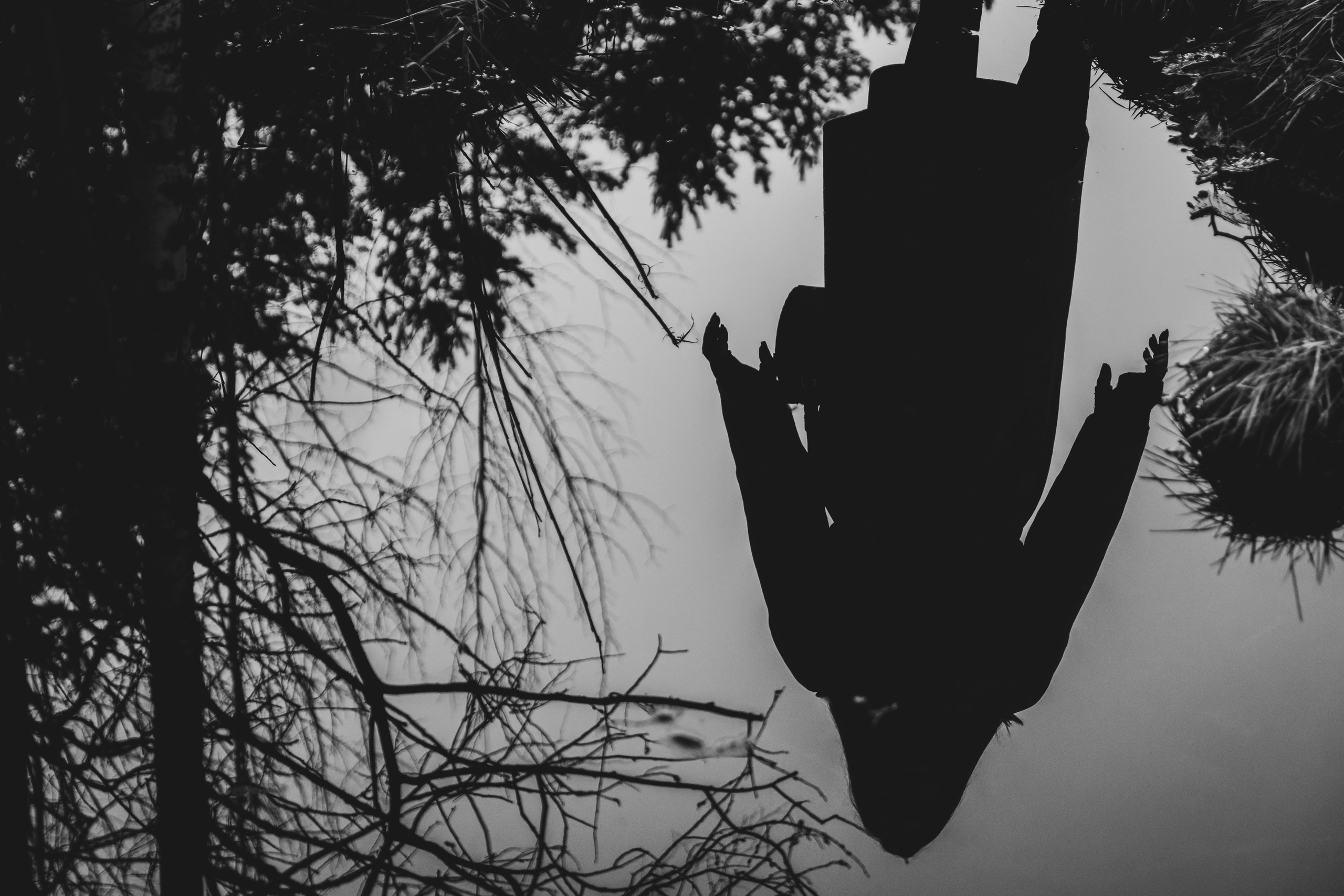 Nebula 25 — Fotod teie hingele