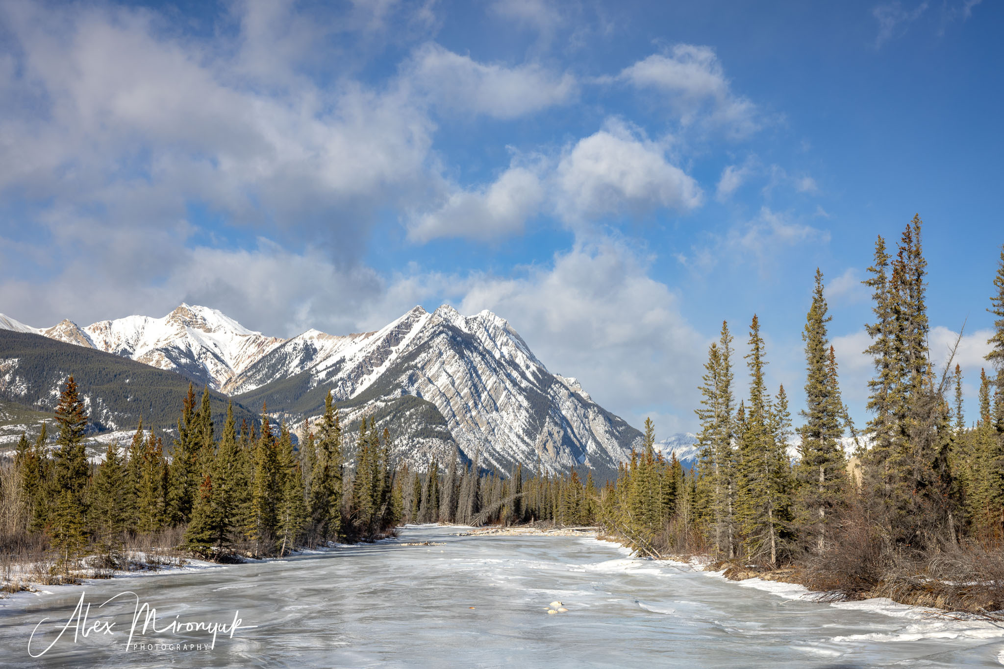 Photographing Winter Wonderland — Canada. Pet, Senior, Landscape, portrait studio, photographer in Miami and Sou