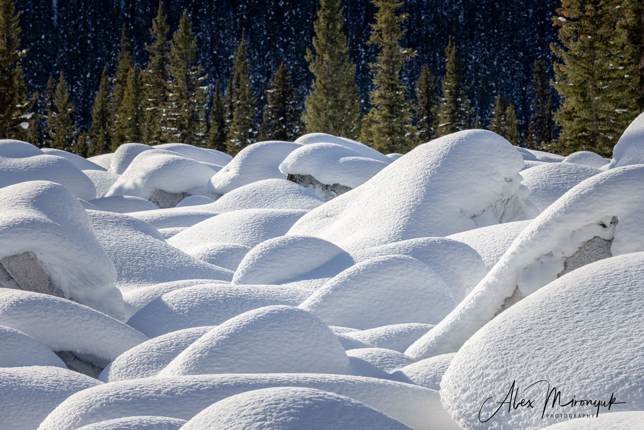Photographing Winter Wonderland — Canada. Pet, Senior, Landscape, portrait studio, photographer in Miami and Sou