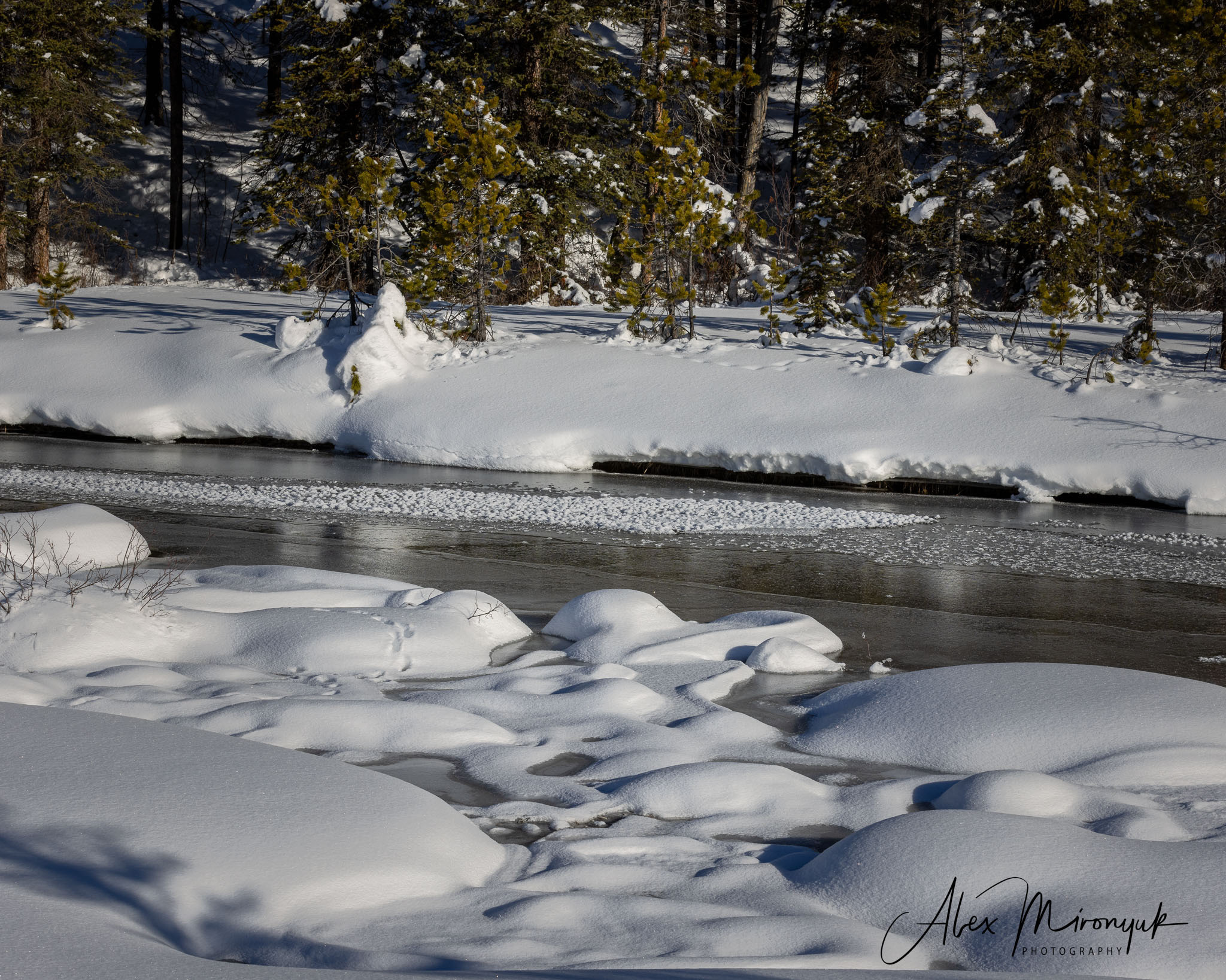 Photographing Winter Wonderland — Canada. Pet, Senior, Landscape, portrait studio, photographer in Miami and Sou