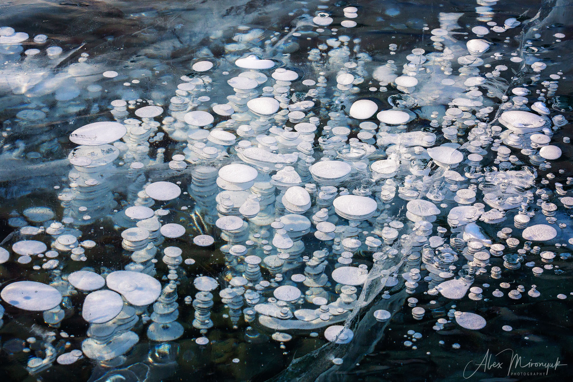 Photographing Winter Wonderland — Canada. Pet, Senior, Landscape, portrait studio, photographer in Miami and Sou