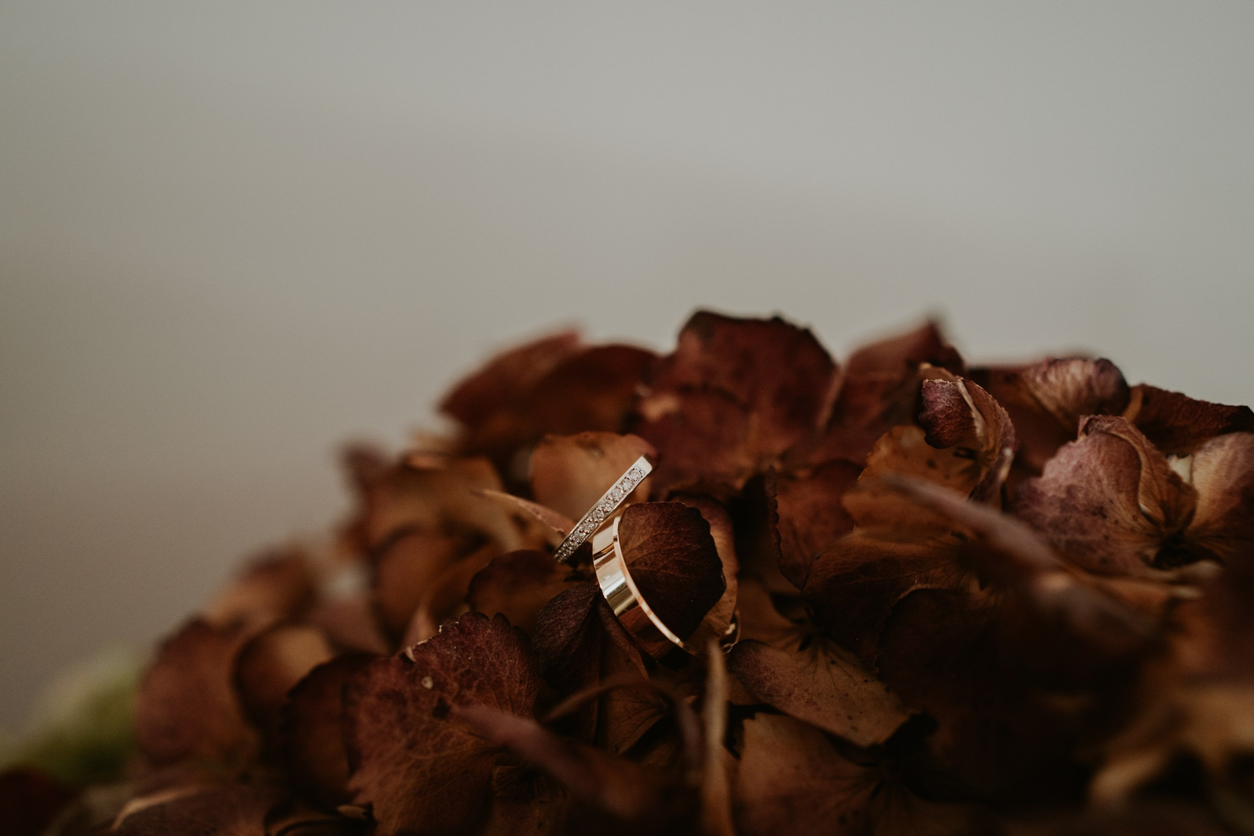 Ewa&Maciej. Michał Kaźmierczyk - Fotograf