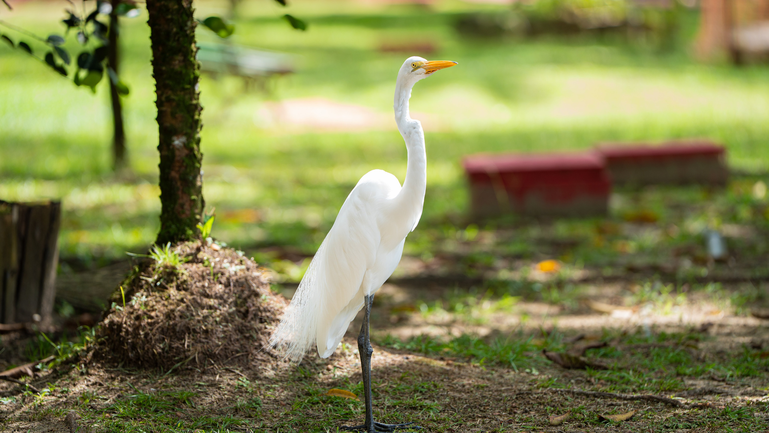 Manno Estúdio — Fotografia e vídeo em Belém