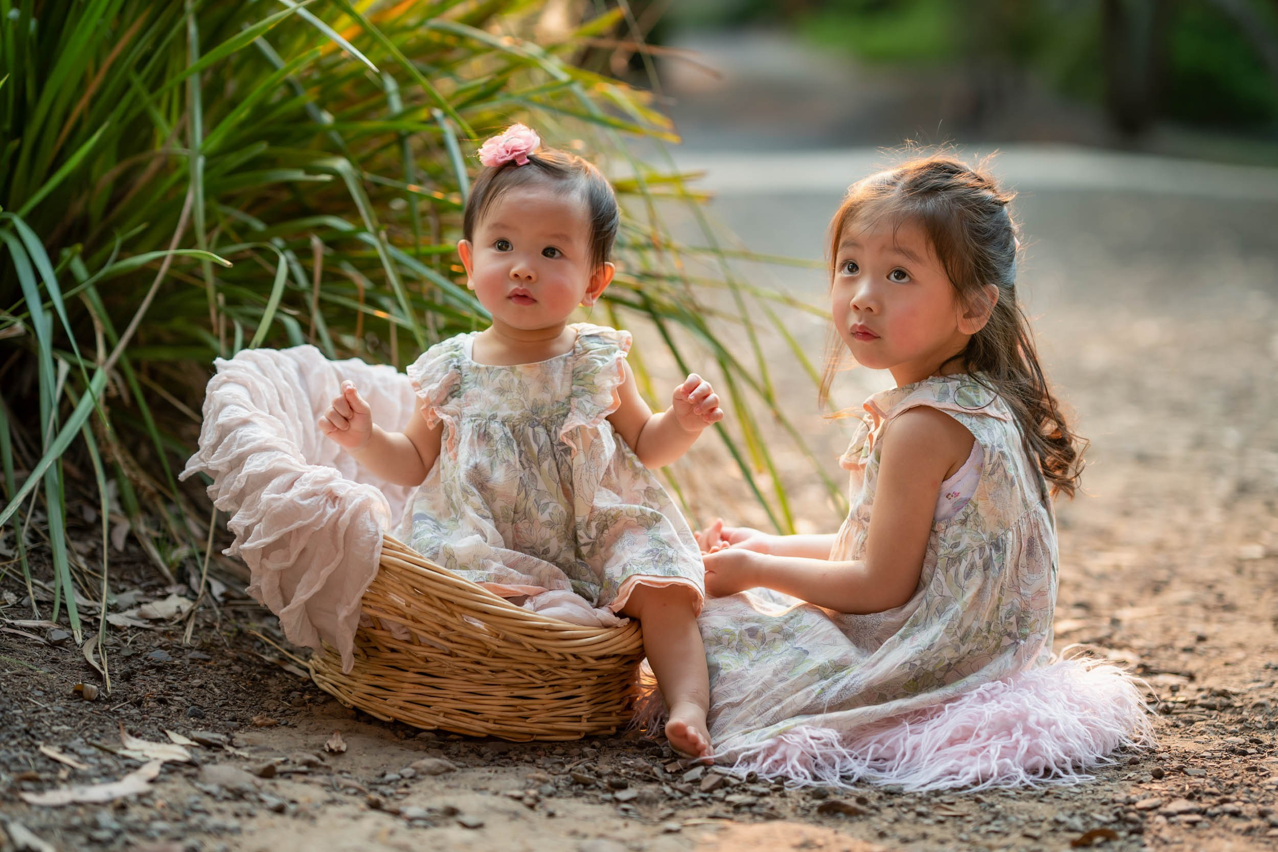Capturing the Spirit of Childhood: A Sunny Family Photoshoot in Sydney