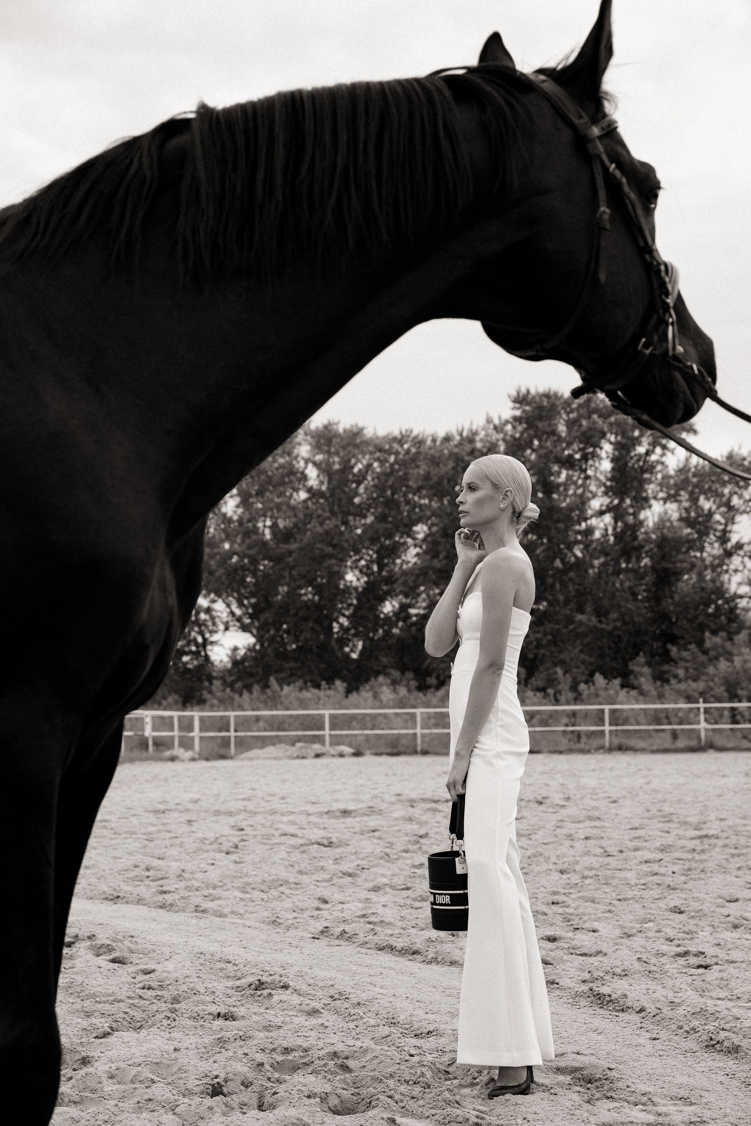 Horse & Rider Photoshoots In Florida