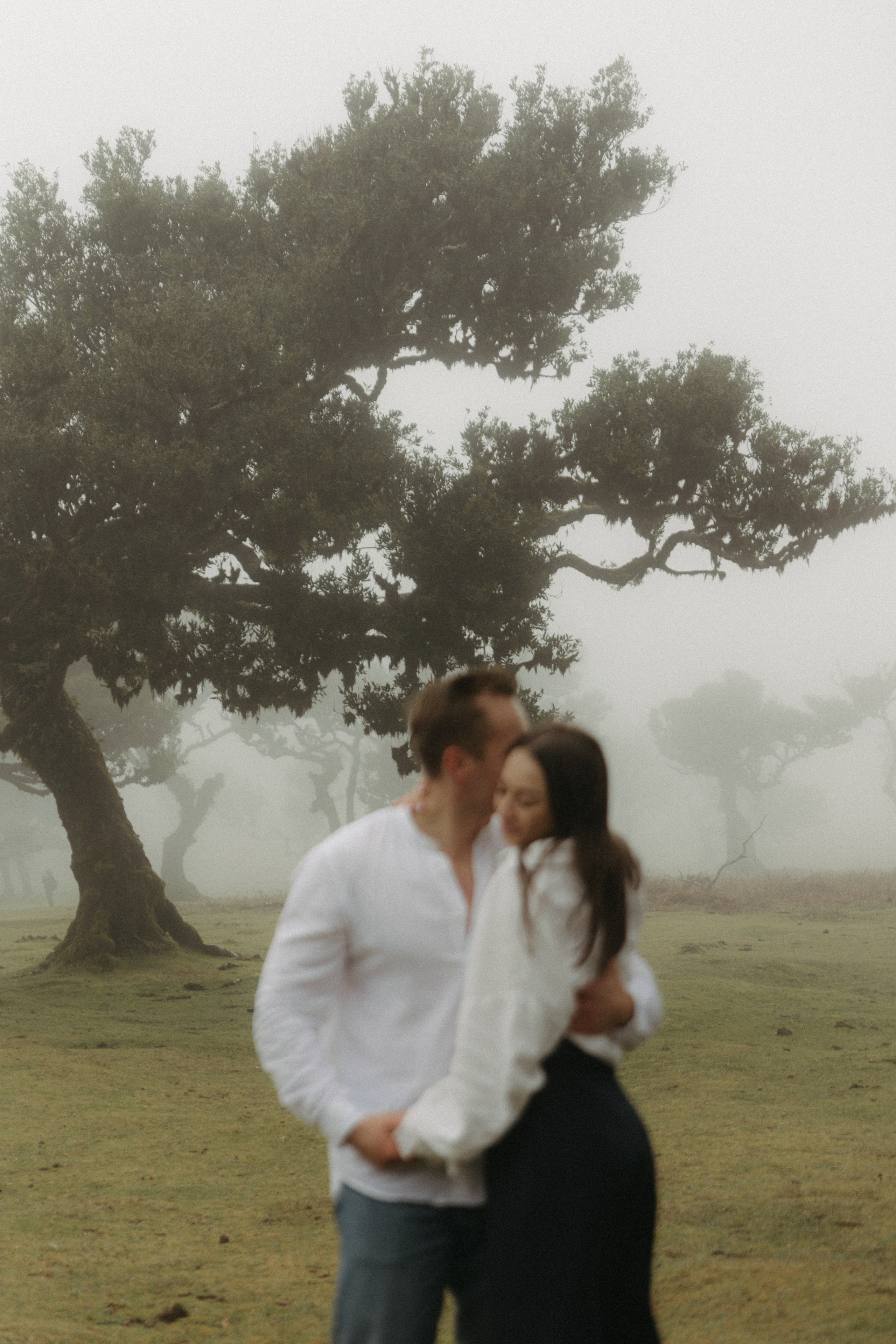 Magic of Fanal Forest. Wedding photographer and videographer based in Timisoara, Romania