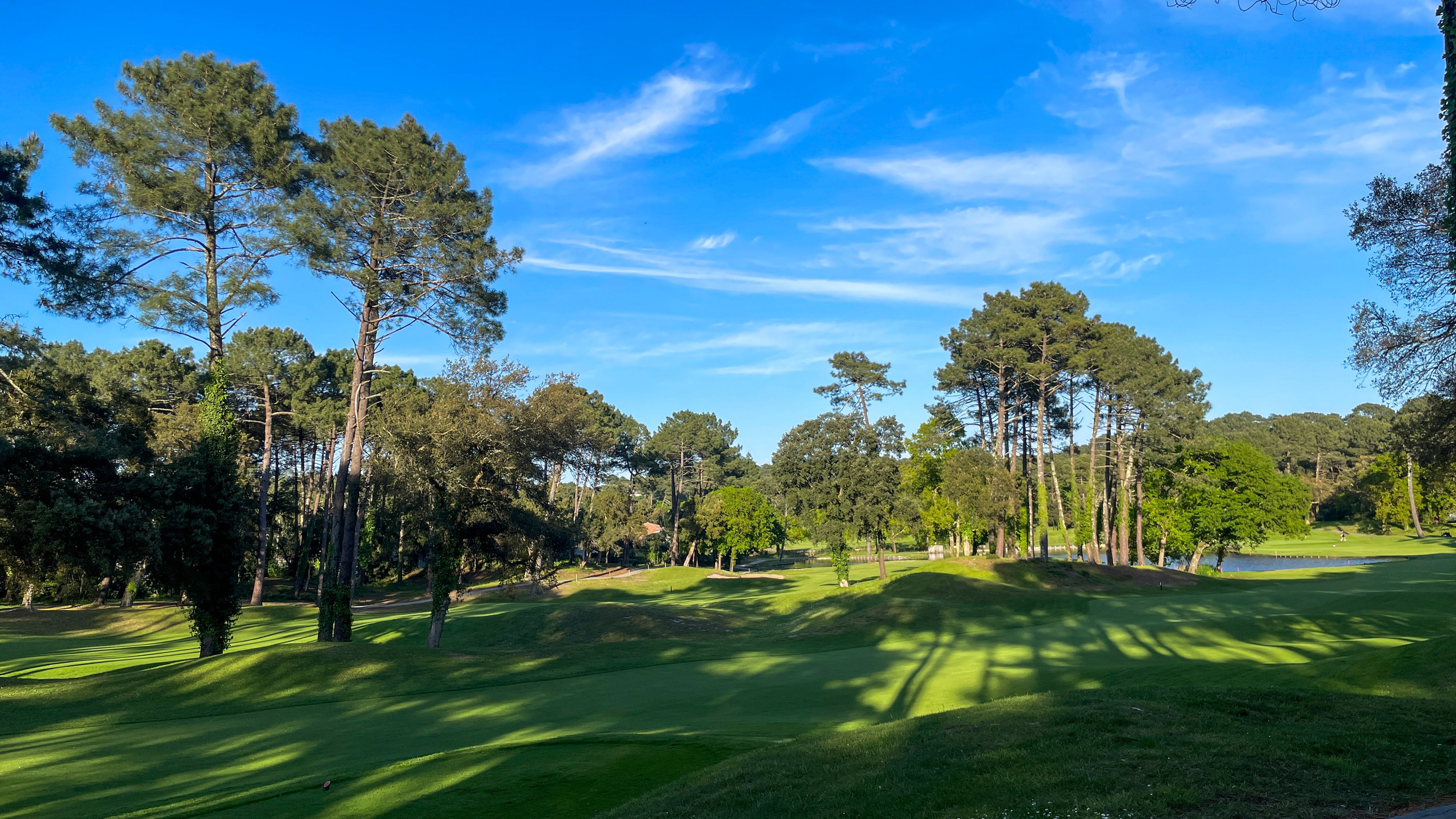 Незабываемый отпуск: Сеньосс и Баскское побережье. Евгения Смирнова — Ваш фотограф в Тулузе и на юго-западе Франции