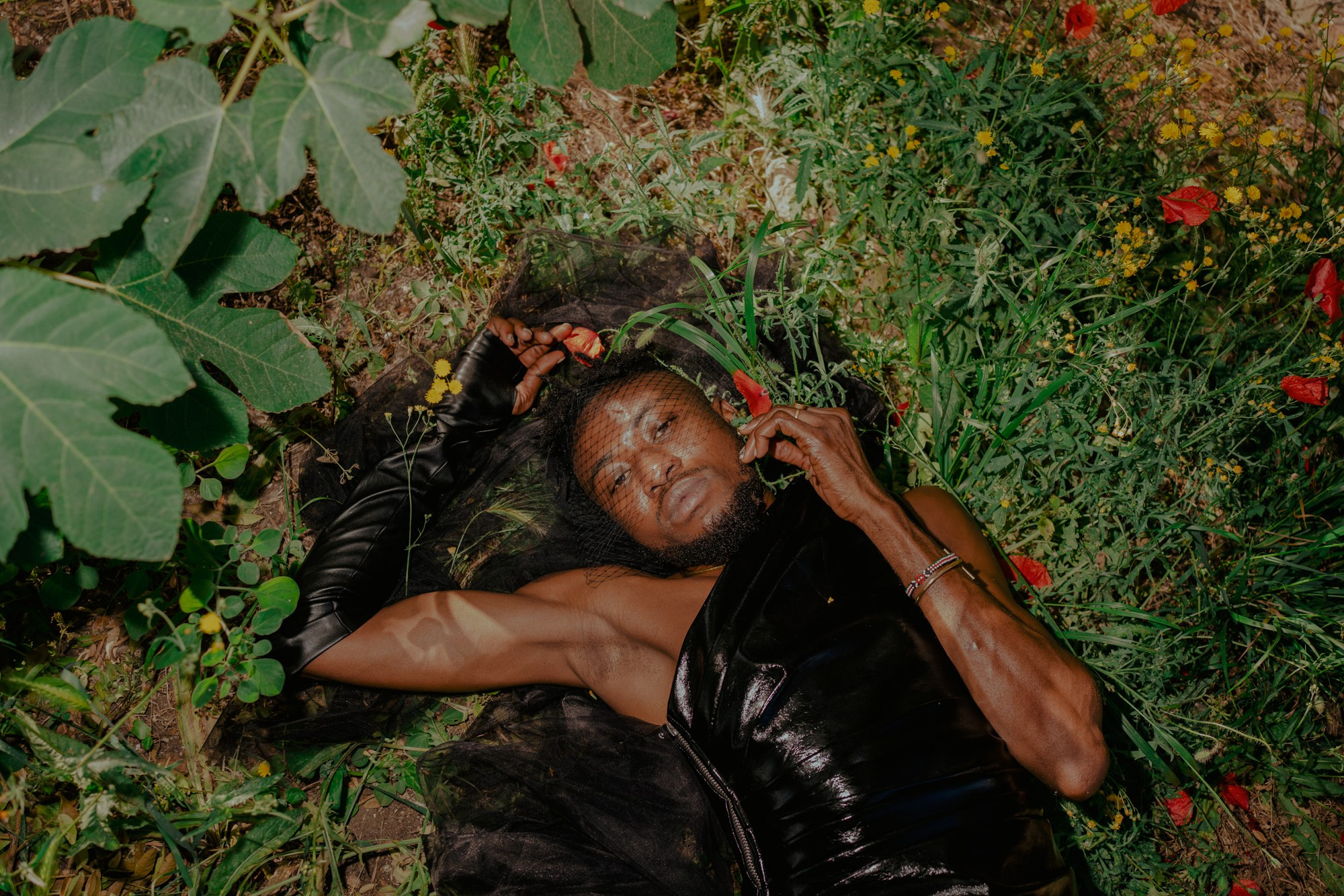 Обзор. Лило Даниелян | Visual artist