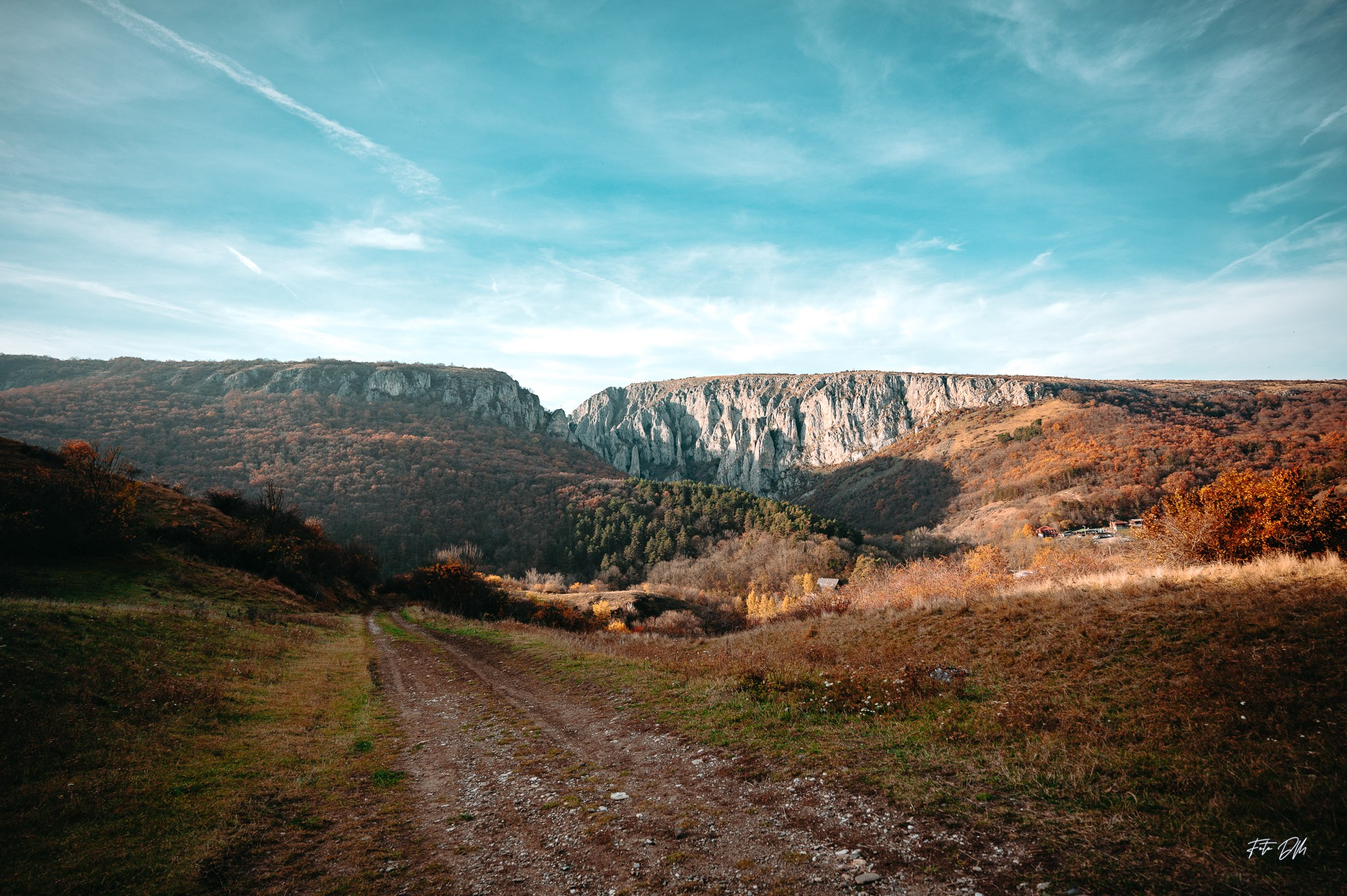 🌻 D I A N A + M I L L S | After Wedding ❤️. Fotografie & Videografie de nuntă în Timișoara