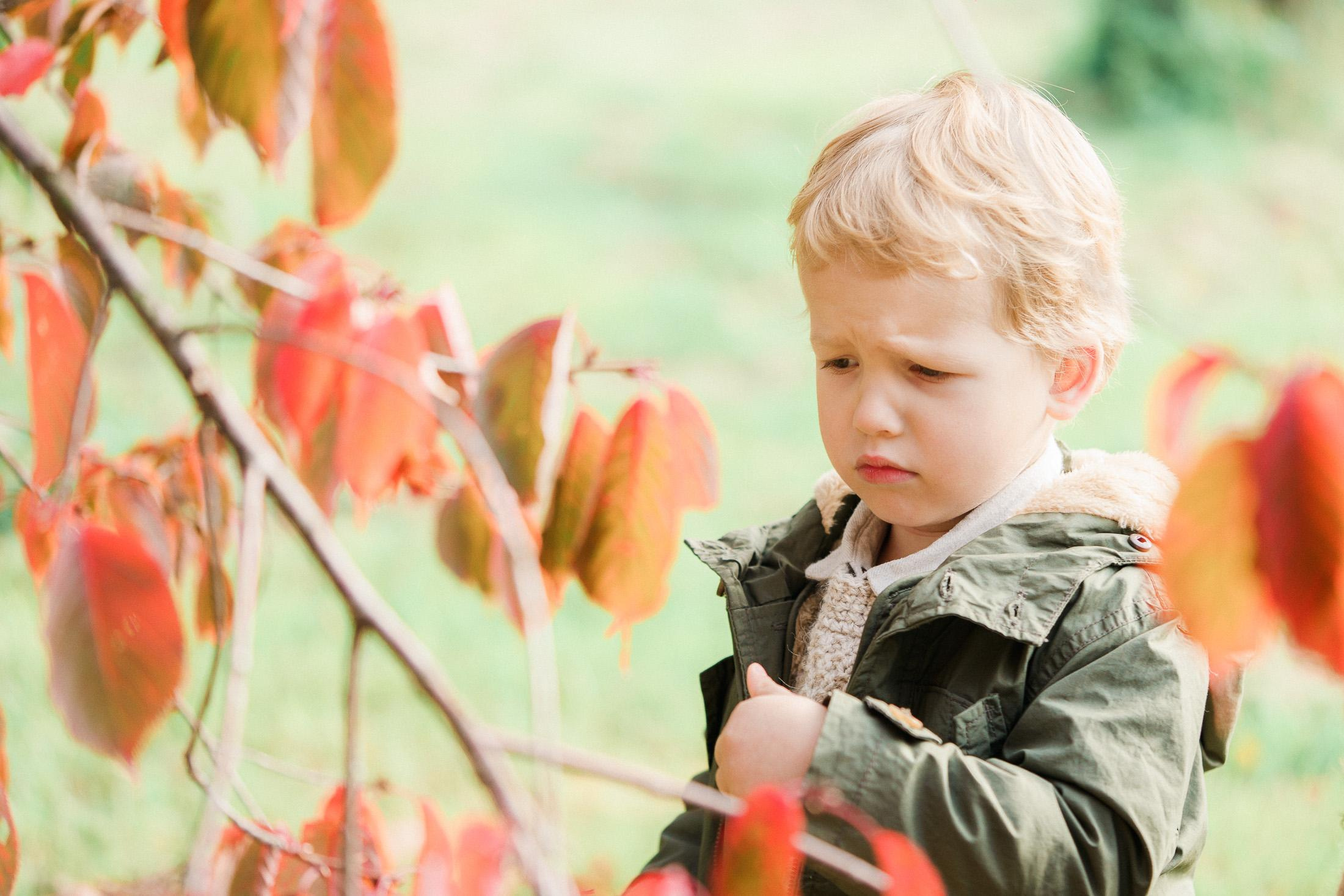 Lifestyle perhekuvaus