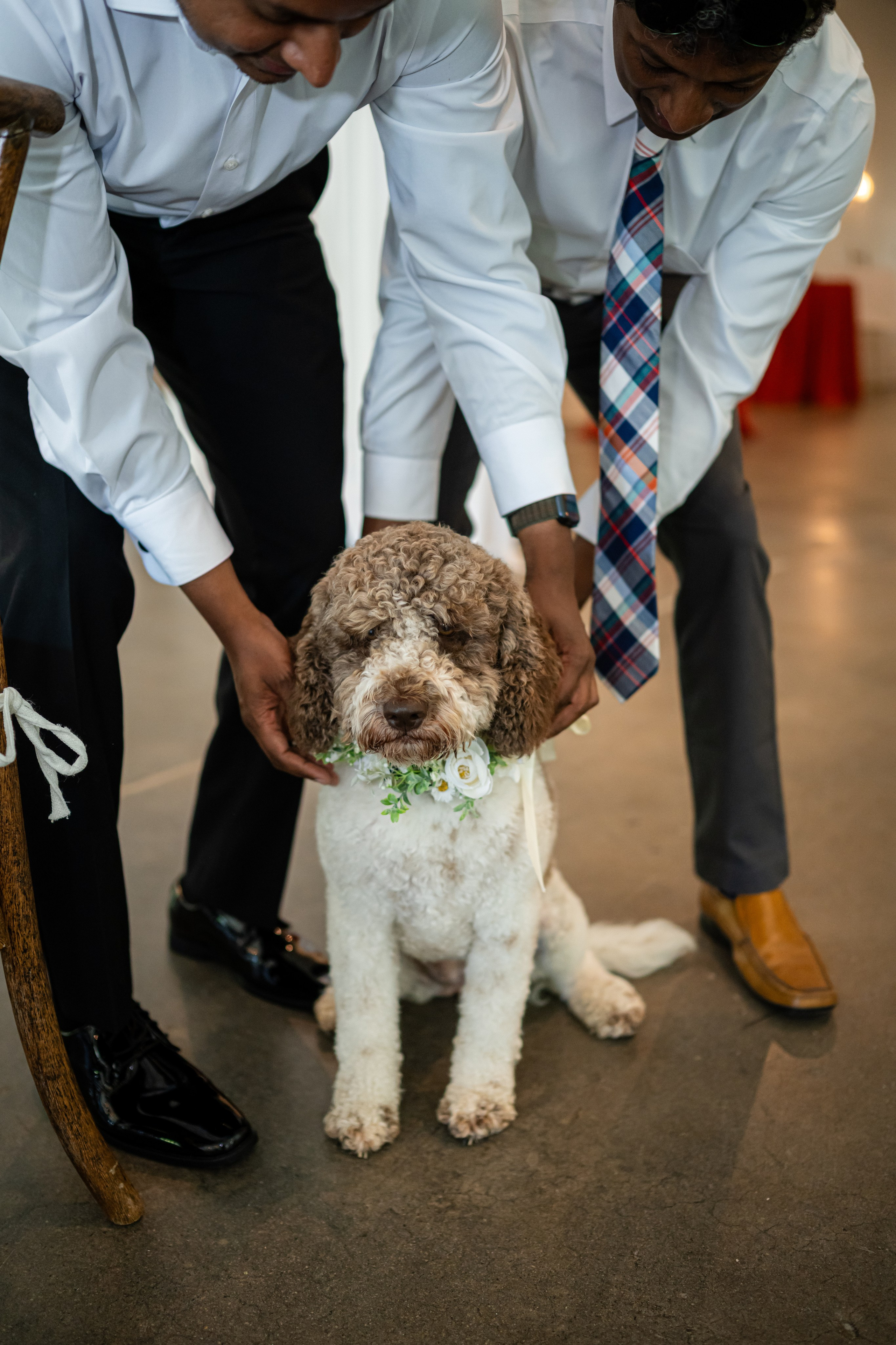 Color, Culture, and Celebration: A Vibrant Indian Fusion Wedding at The 405 in July. Wedding and portrait photography in Greenville SC